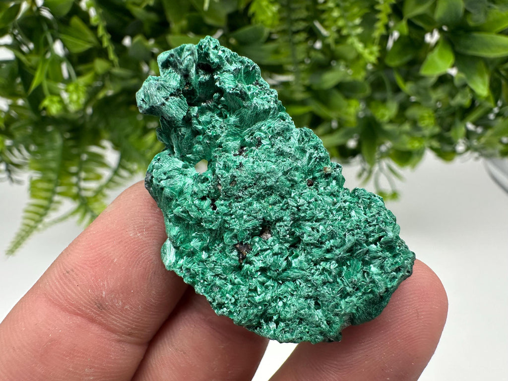 Malachite Crystal from Congo,Minerals,Crystals from Congo,Green Malachite, Malachite,Natural Malachite,Malachite Stone,Chakra, Specimens