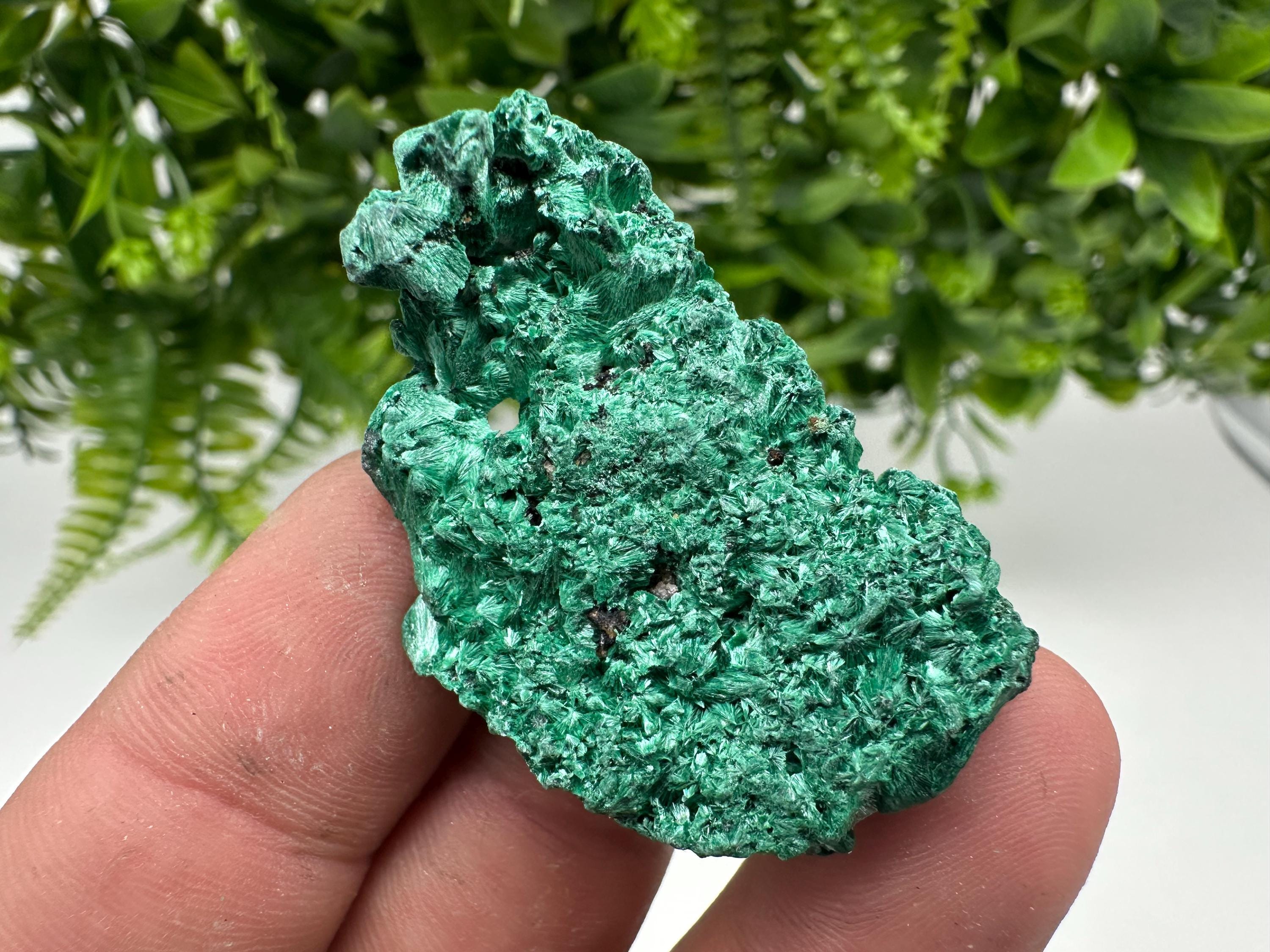 Malachite Crystal from Congo,Minerals,Crystals from Congo,Green Malachite, Malachite,Natural Malachite,Malachite Stone,Chakra, Specimens
