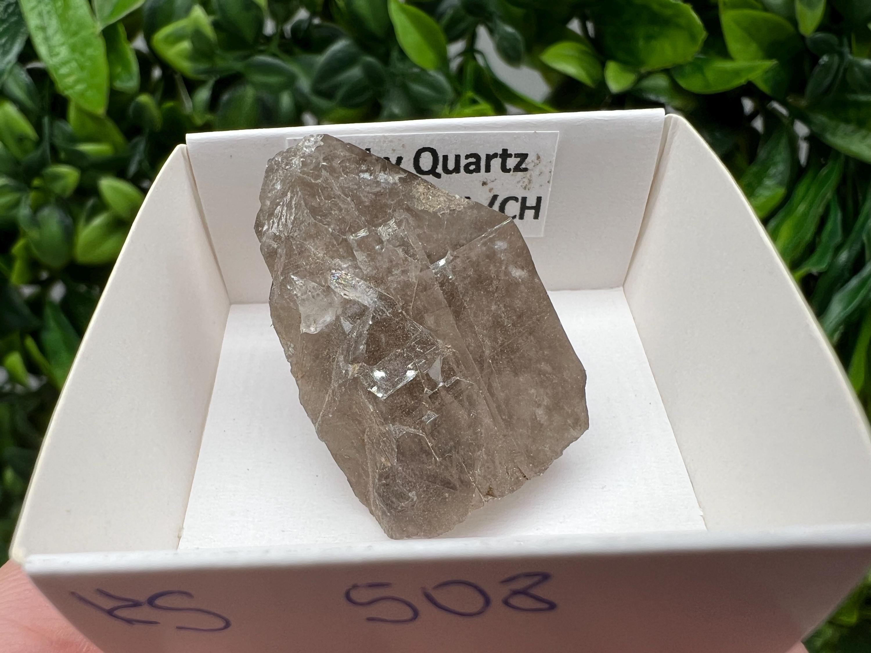 Rare Smoky Quartz from Fedenstock (mountain) Switzerland,Mineral,Specimen,Collection,Black Quartz,Mineral,Home,Smoky Quartz,Quartz point