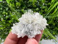 Transparent Quartz Cluster, Borieva Mine Mineral Specimen