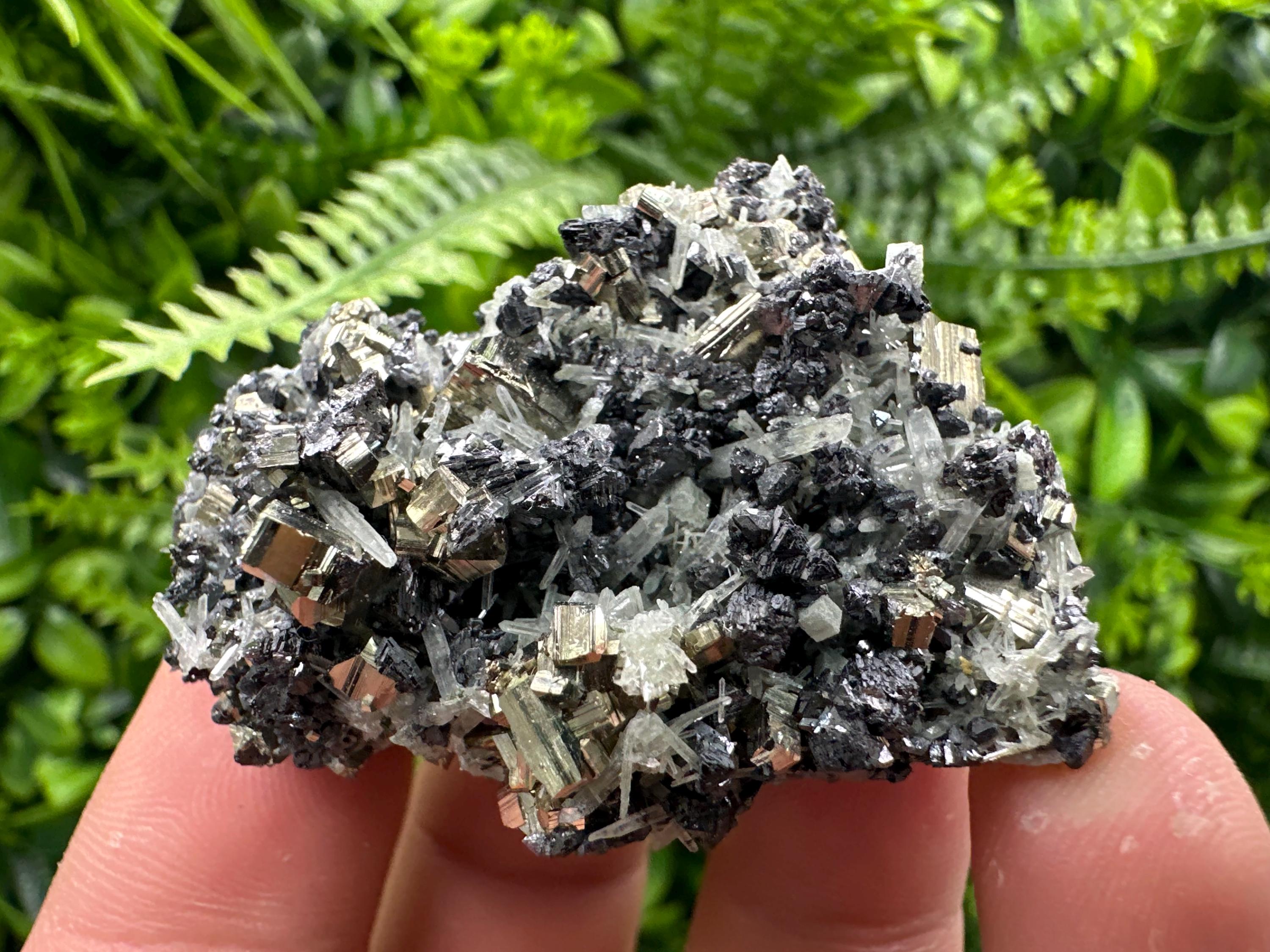 Pyrite on Sphalerite and Quartz, Borieva Mine Mineral Specimen
