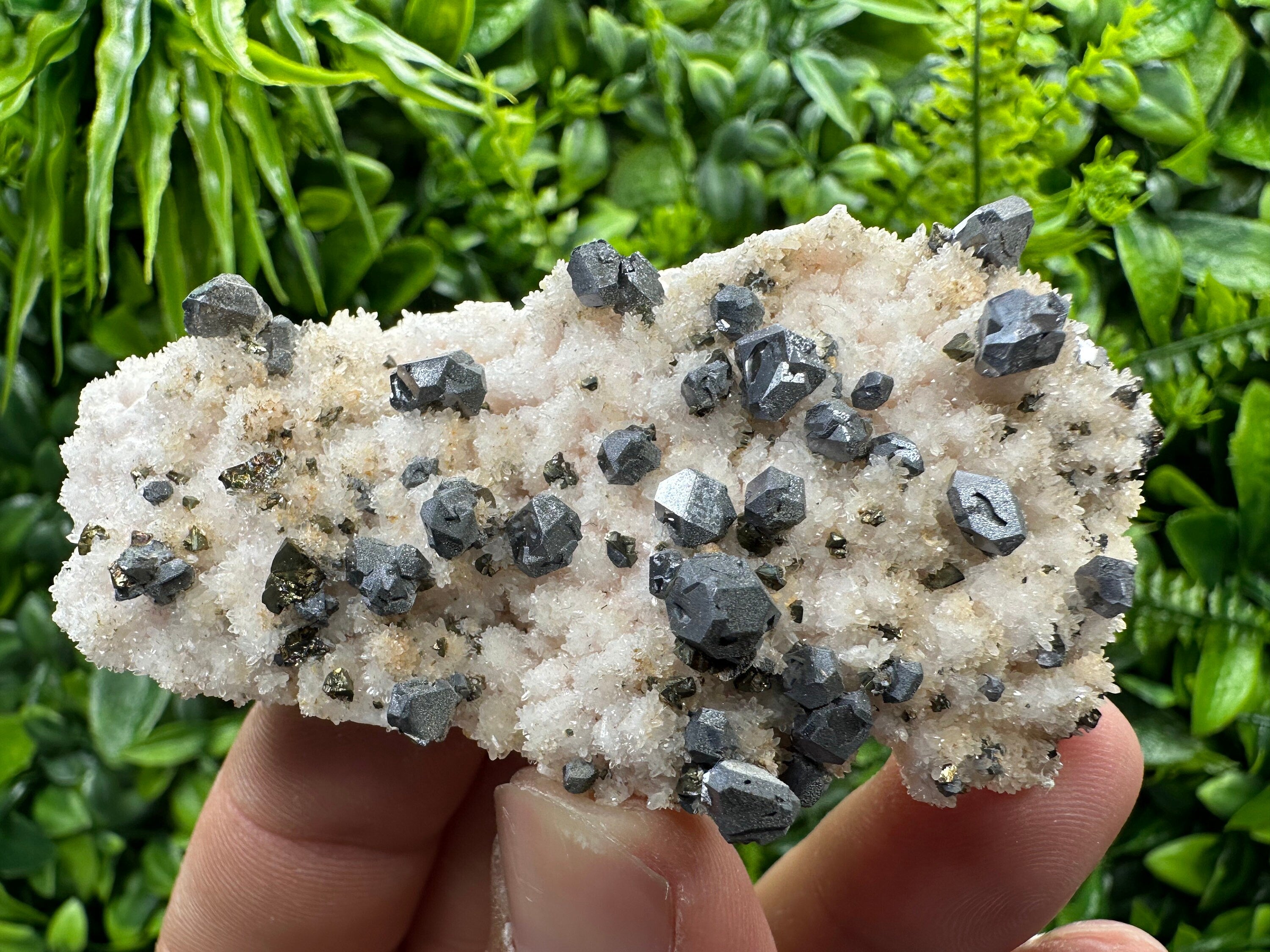 Galena with Chalcopyrite on Mangano Calcite: Natural Mineral Crystal Decor