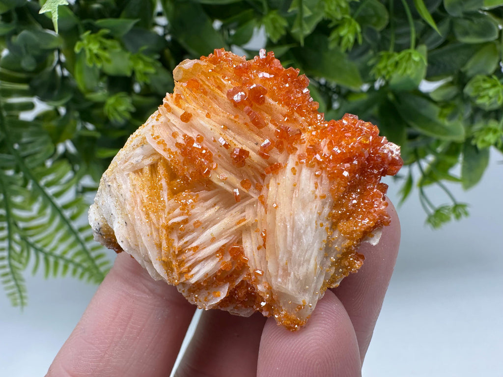 Red Vanadinite on Barite Cluster, Moroccan Mineral Specimen (4/4/2 cm)