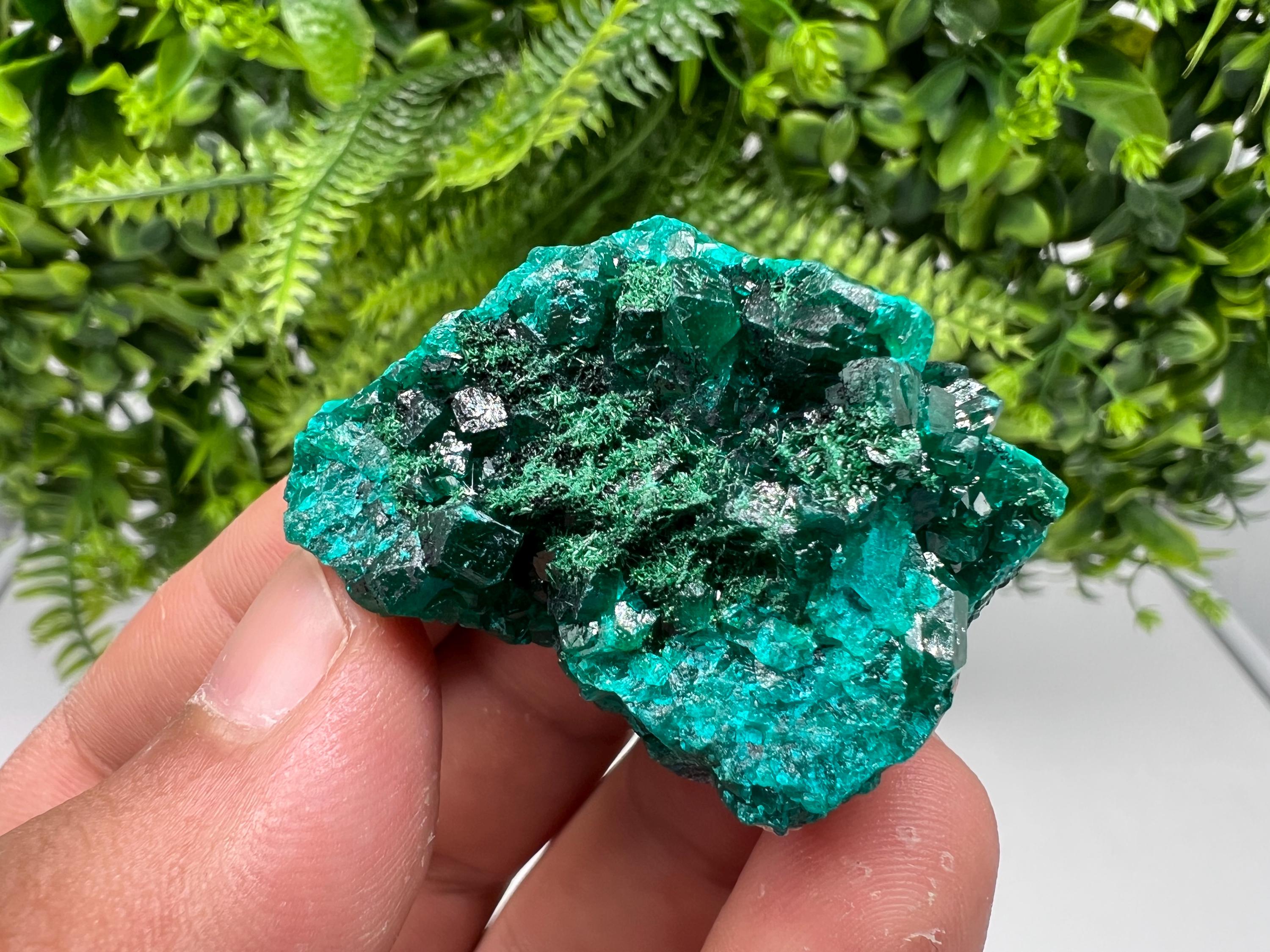 Stunning Green Dioptase from Sanda Hills,Mindouli,Pool Department,Mindouli District,Congo,green Dioptase,Dioptas Crystal,Dioptase collecting