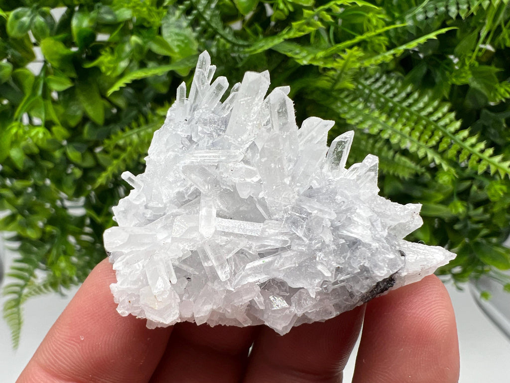 Borieva Mine Transparent Quartz Cluster, Natural Crystal Specimen