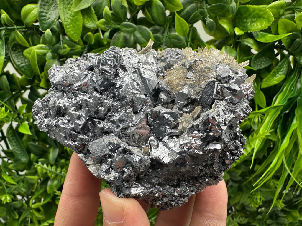 Galena Cluster with Quartz, Krushev Dol Mine, Bulgaria