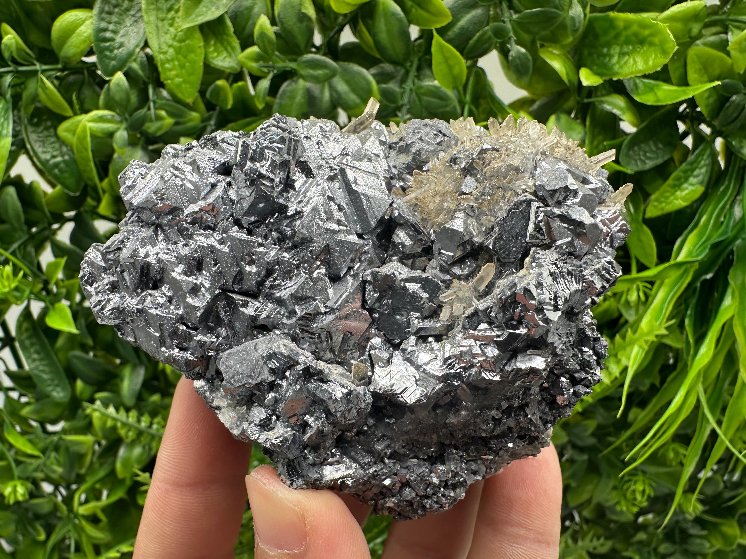 Galena Cluster with Quartz, Krushev Dol Mine, Bulgaria
