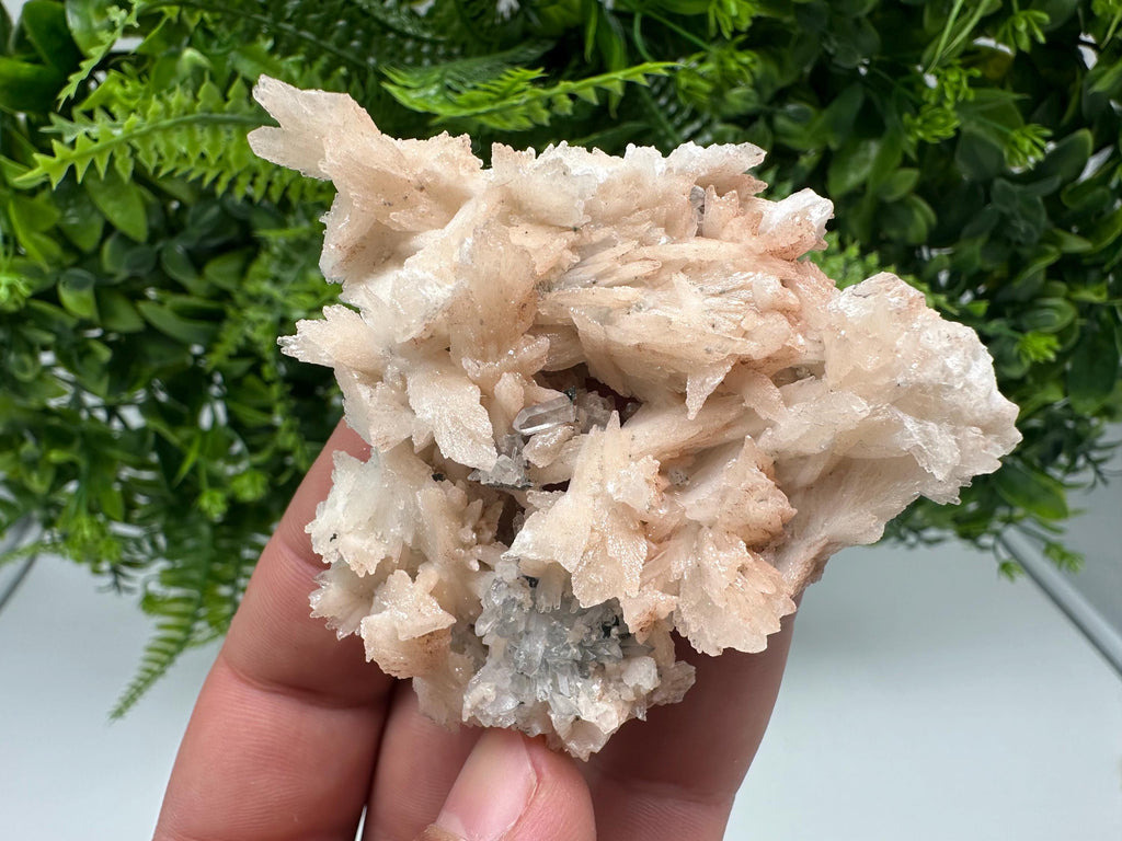 Calcite on Green Quartz: Djurcovo Mine, Bulgaria Crystal
