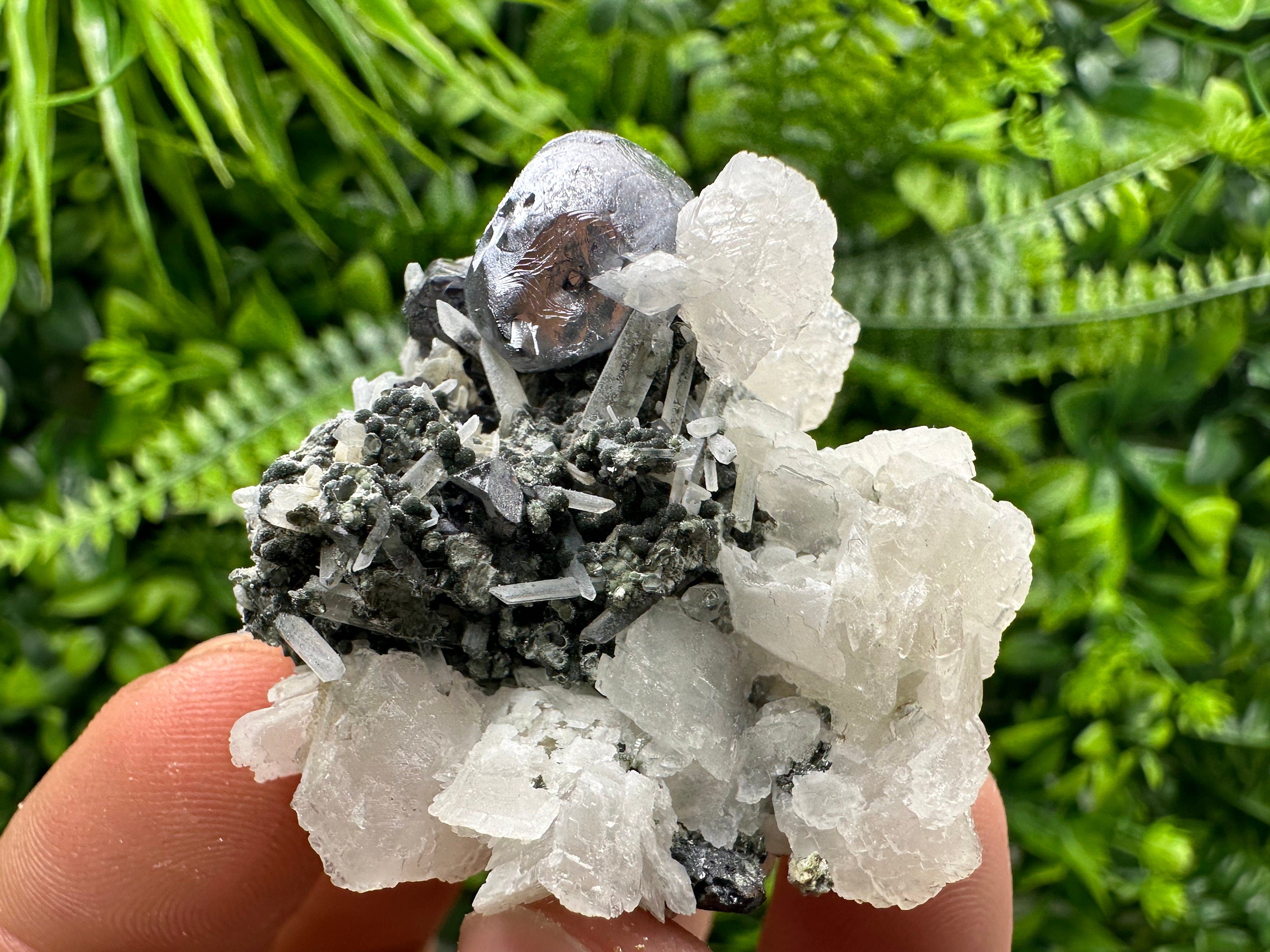 Mirror Galena, Calcite, Sphalerite on Quartz with Chlorite, Bulgaria