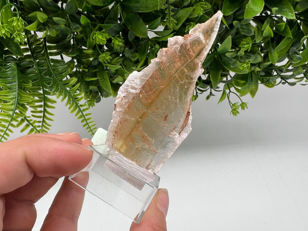 Golden Phantom Selenite Slab: Utah Raw Crystal Wand (4.5/9cm)