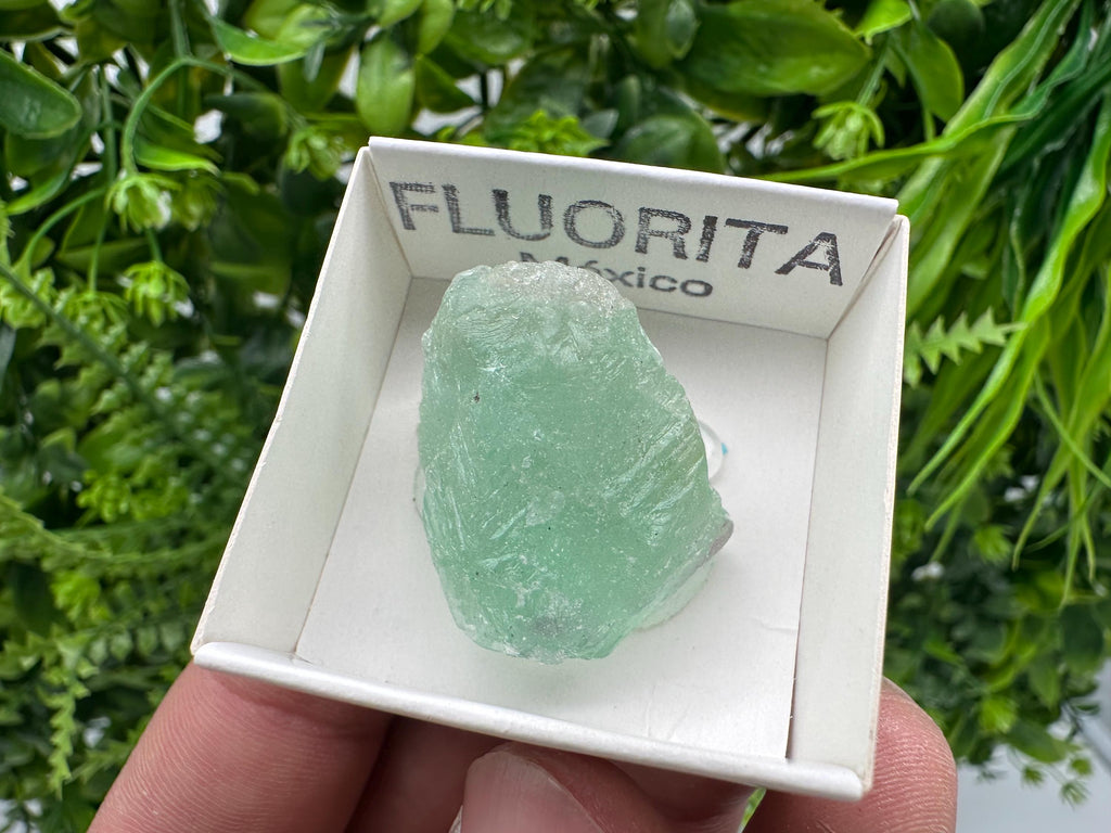 Rare Rainbow Fluorite from Mexico: Raw Meditation Stone