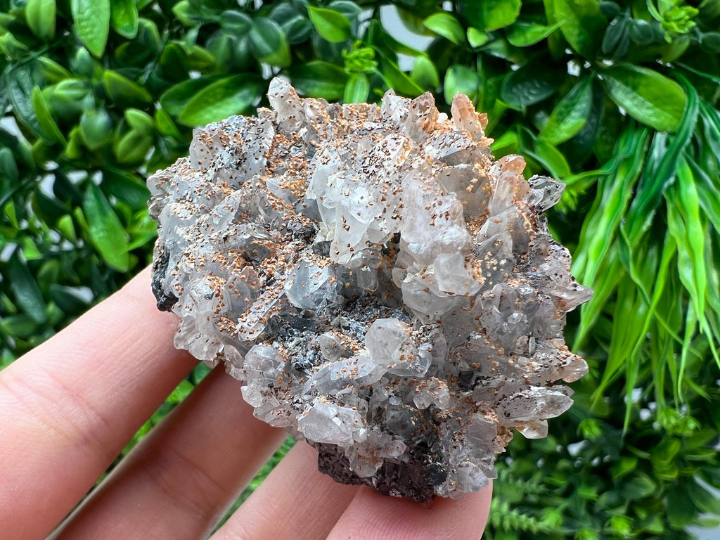 Stunning Quartz whit dolomite on Sphalerite and Galena,from Krushev dol mine,Bulgaria,natural collection mineral specimen,home decor crystal