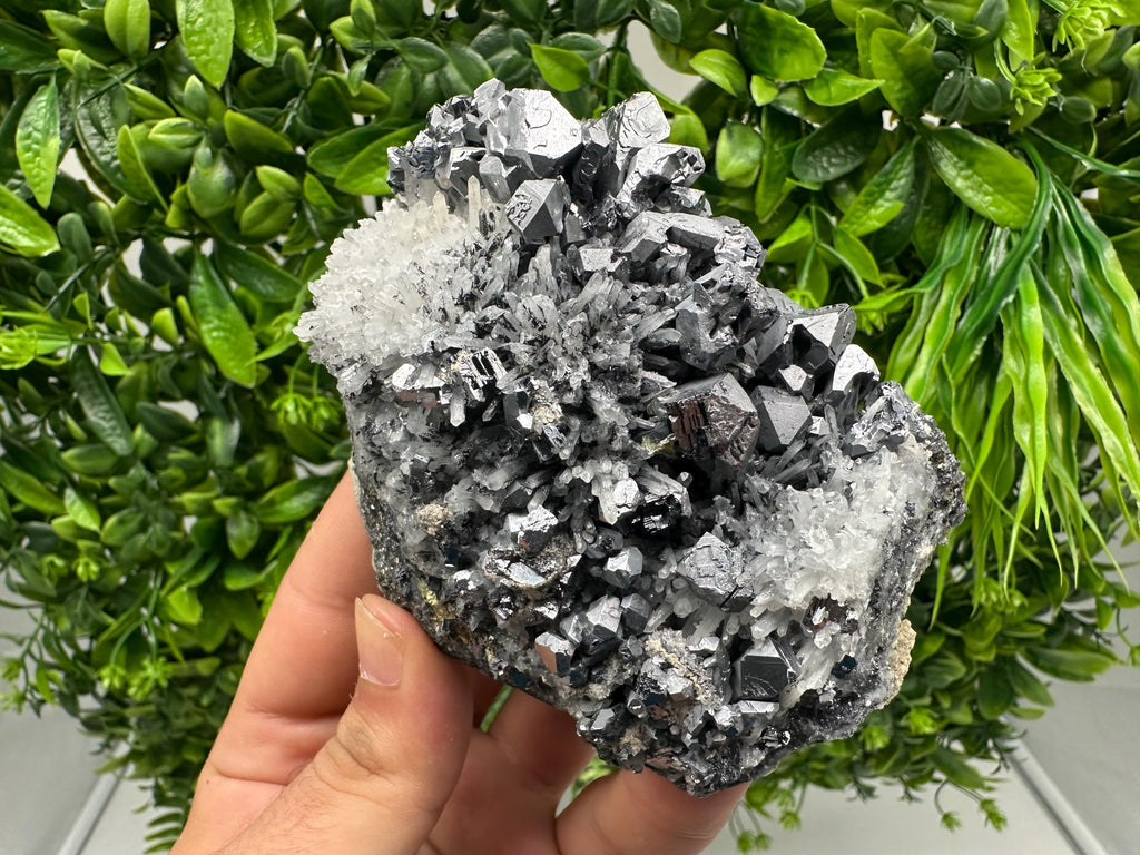 Galena Sphalerite Quartz Mineral Specimen: Krushev Dol Mine