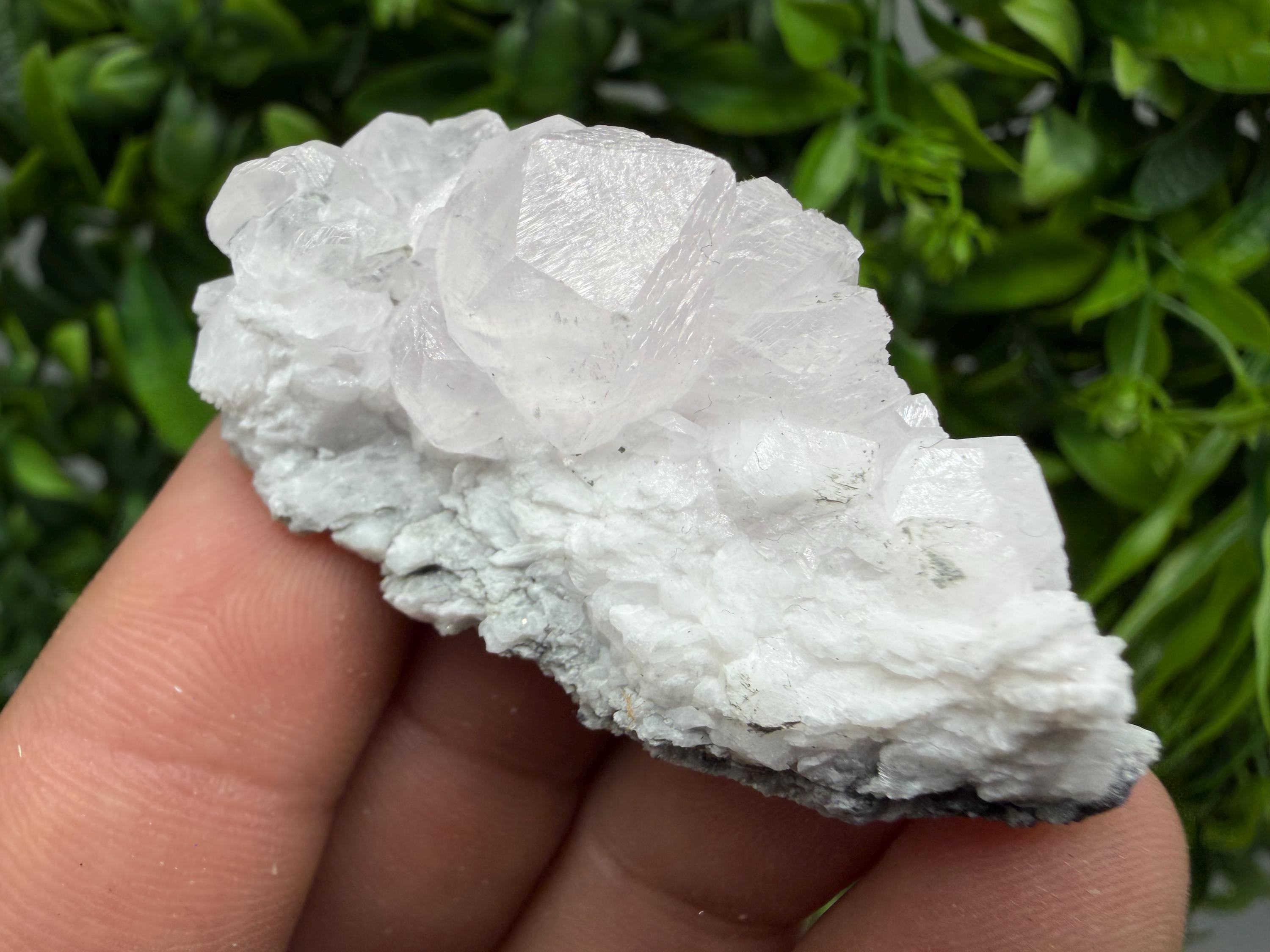 Mangano Calcite with Galena, Borieva Mine, Bulgaria