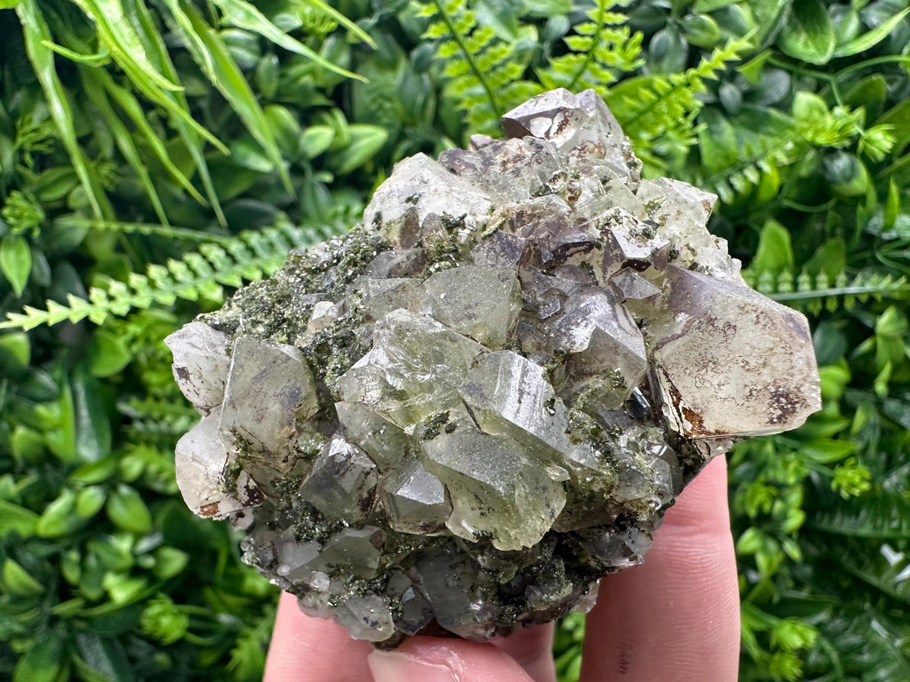Rare Green Epidote with Quartz Crystals: Sparkly Rainbow Mineral Decor