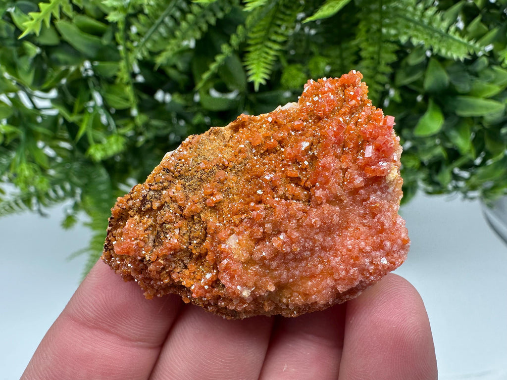 Red Vanadinite on Barite from Marocco,crystal minerals Speciment cluster Vanadinite crystal Vanadinite Geology Vanadinite cluster minerals
