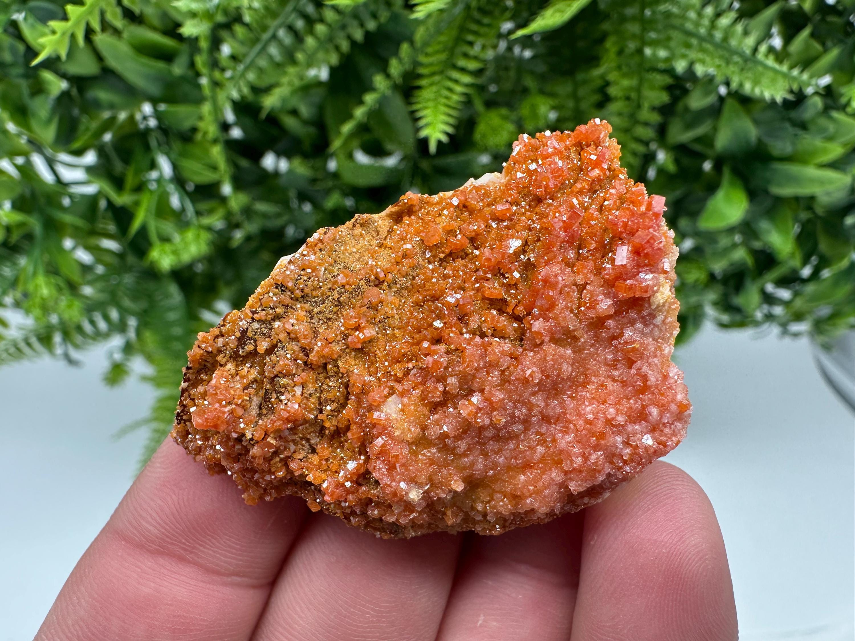 Red Vanadinite on Barite from Marocco,crystal minerals Speciment cluster Vanadinite crystal Vanadinite Geology Vanadinite cluster minerals