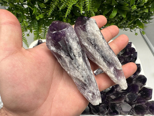 Brazilian Amethyst Point, Cathedral Crystal, Deep Purple