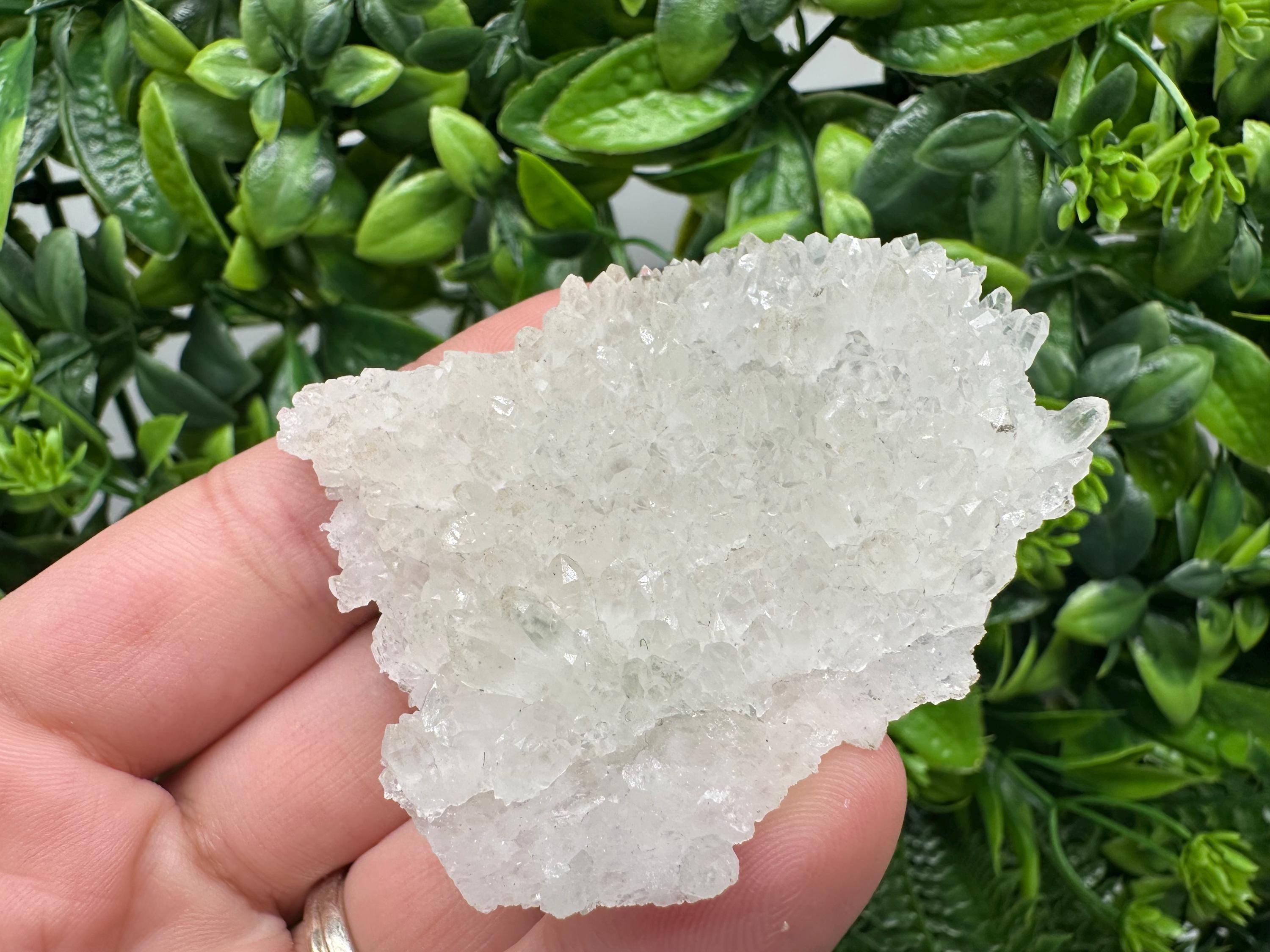 Transparent Quartz on Chlorite Matrix, Borieva Mine Mineral Specimen