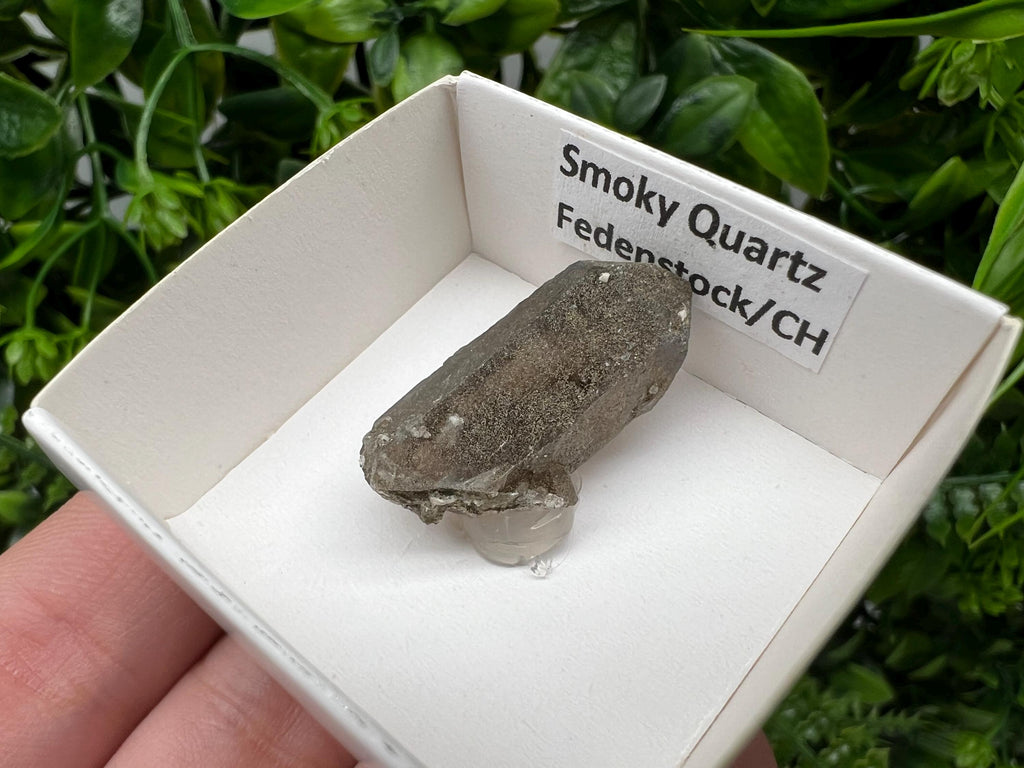 Rare Smoky Quartz Point from Fedenstock Switzerland (30 MM)