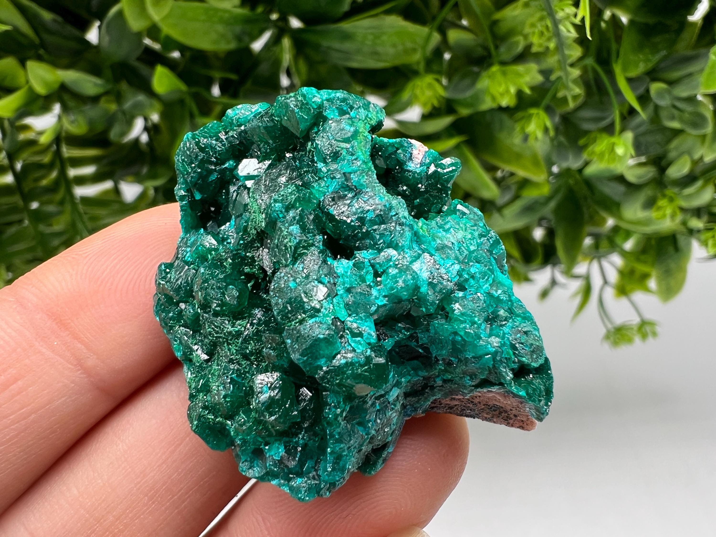 Stunning Green Dioptase from Sanda Hills,Mindouli,Pool Department,Mindouli District,Congo,green Dioptase,Dioptas Crystal,Dioptase collecting