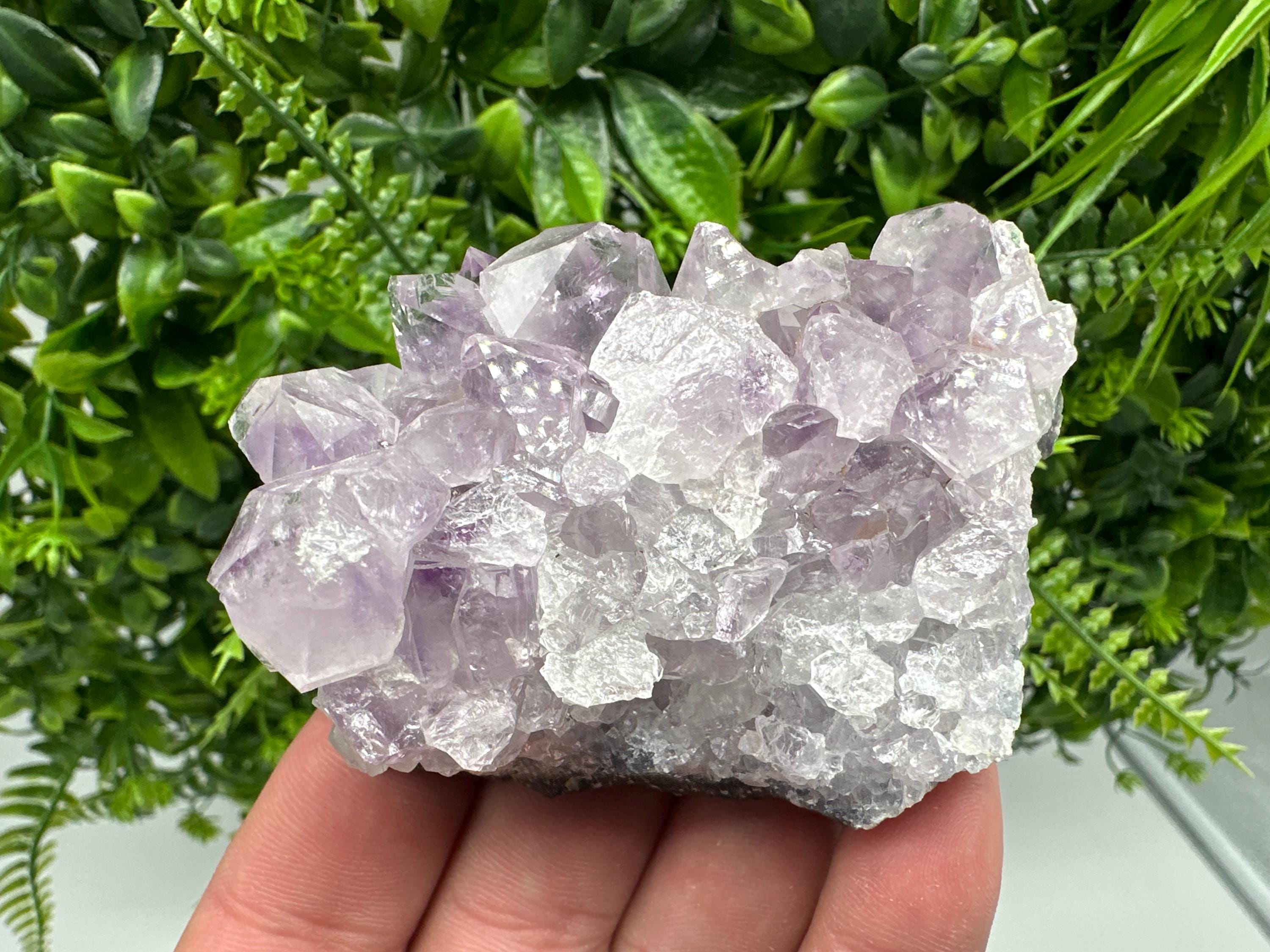 Brazilian Amethyst Cluster, Purple Quartz Specimen