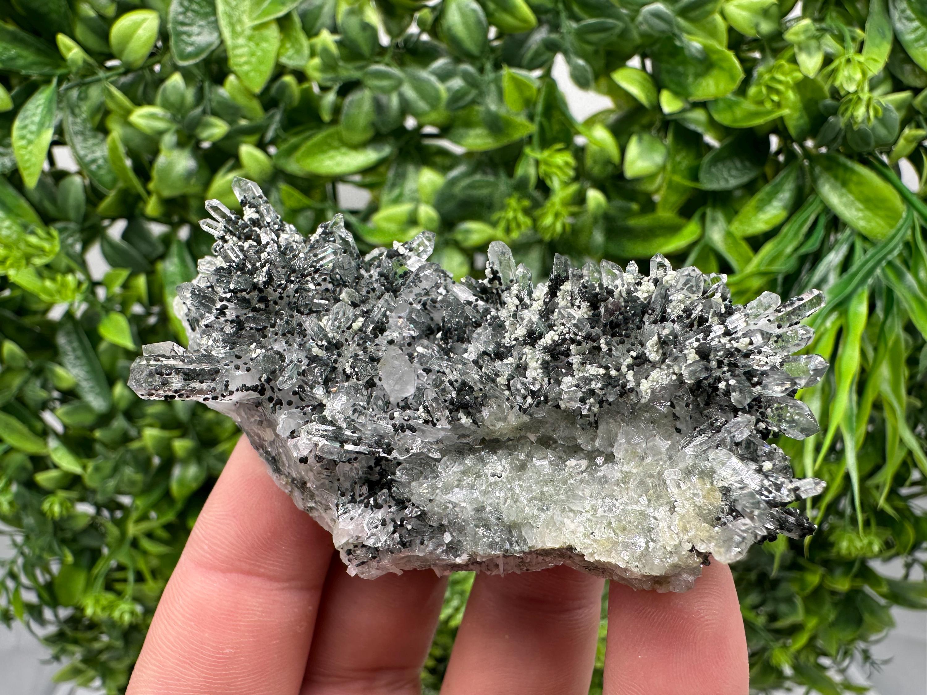 Chlorite Quartz Crystal Cluster - Borieva Mine, Bulgaria