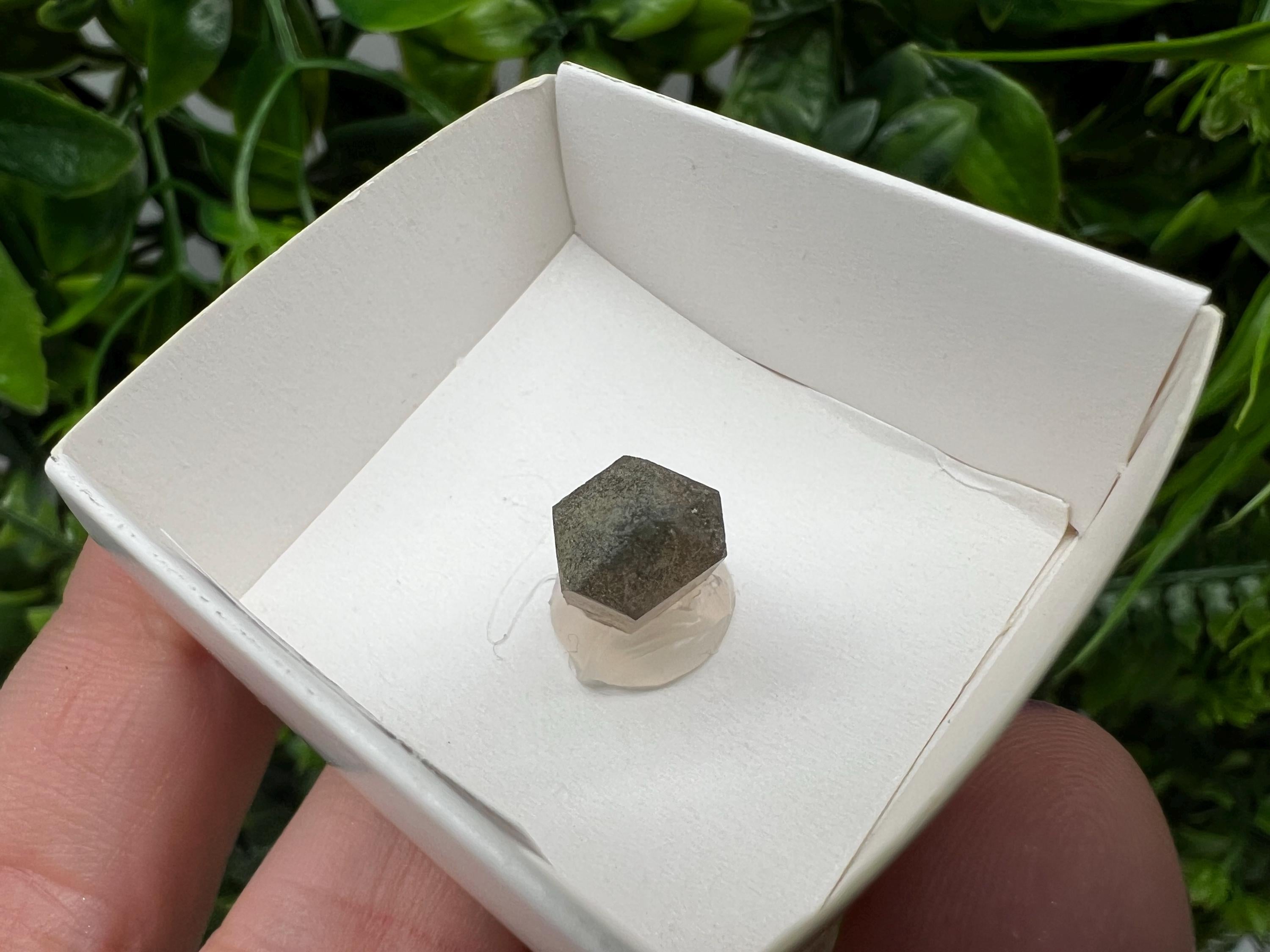 Rare Fedenstock Smoky Quartz Point, Swiss Mineral Specimen (20MM)