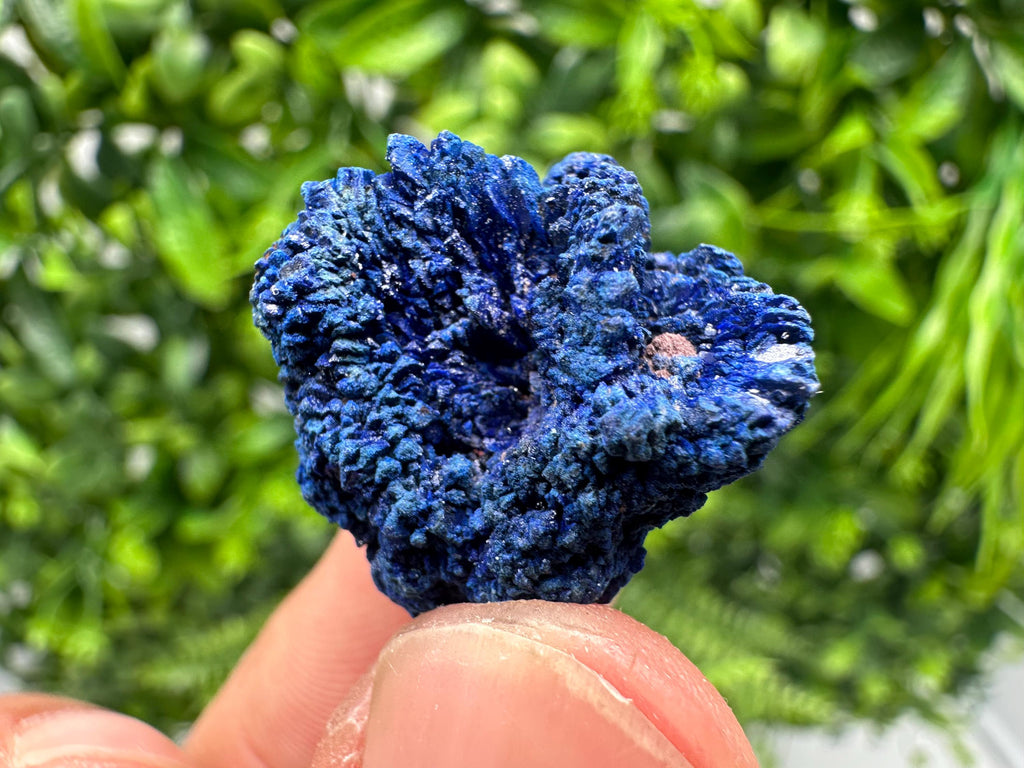 Crystallized Azurite-Kerrouchen,Morocco-Blue Azurite Specimen-High Quality Blue Azurite-Azurite Mineral Specimen, gemmy,lustrous of Azurite