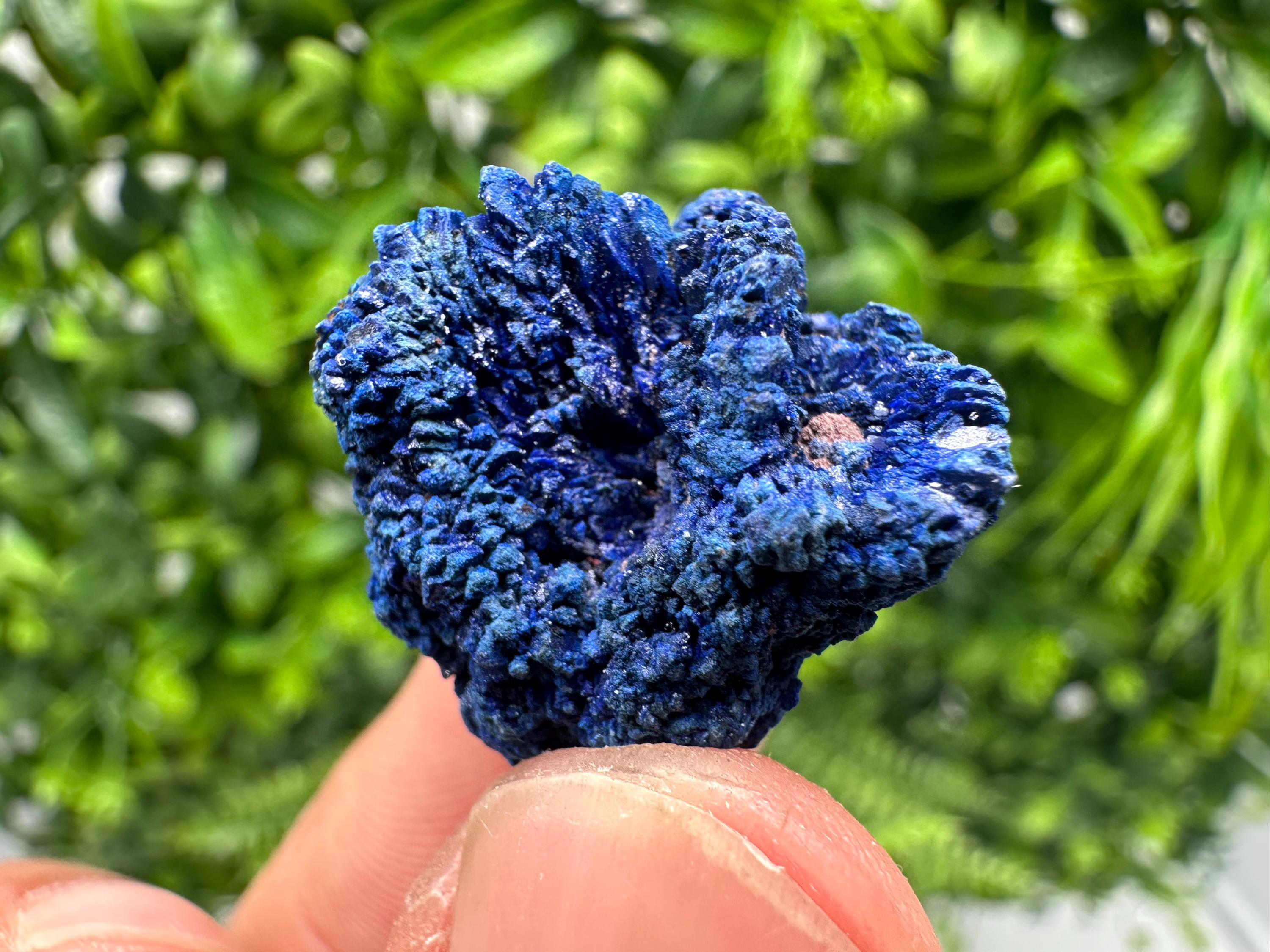 Crystallized Azurite-Kerrouchen,Morocco-Blue Azurite Specimen-High Quality Blue Azurite-Azurite Mineral Specimen, gemmy,lustrous of Azurite
