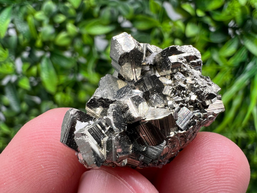 Golden Pyrite,Sphalerite from 9th September mine,Madan,Bulgaria,natural,collectible mineral specimen,home decor crystal,Pyrite cluster,