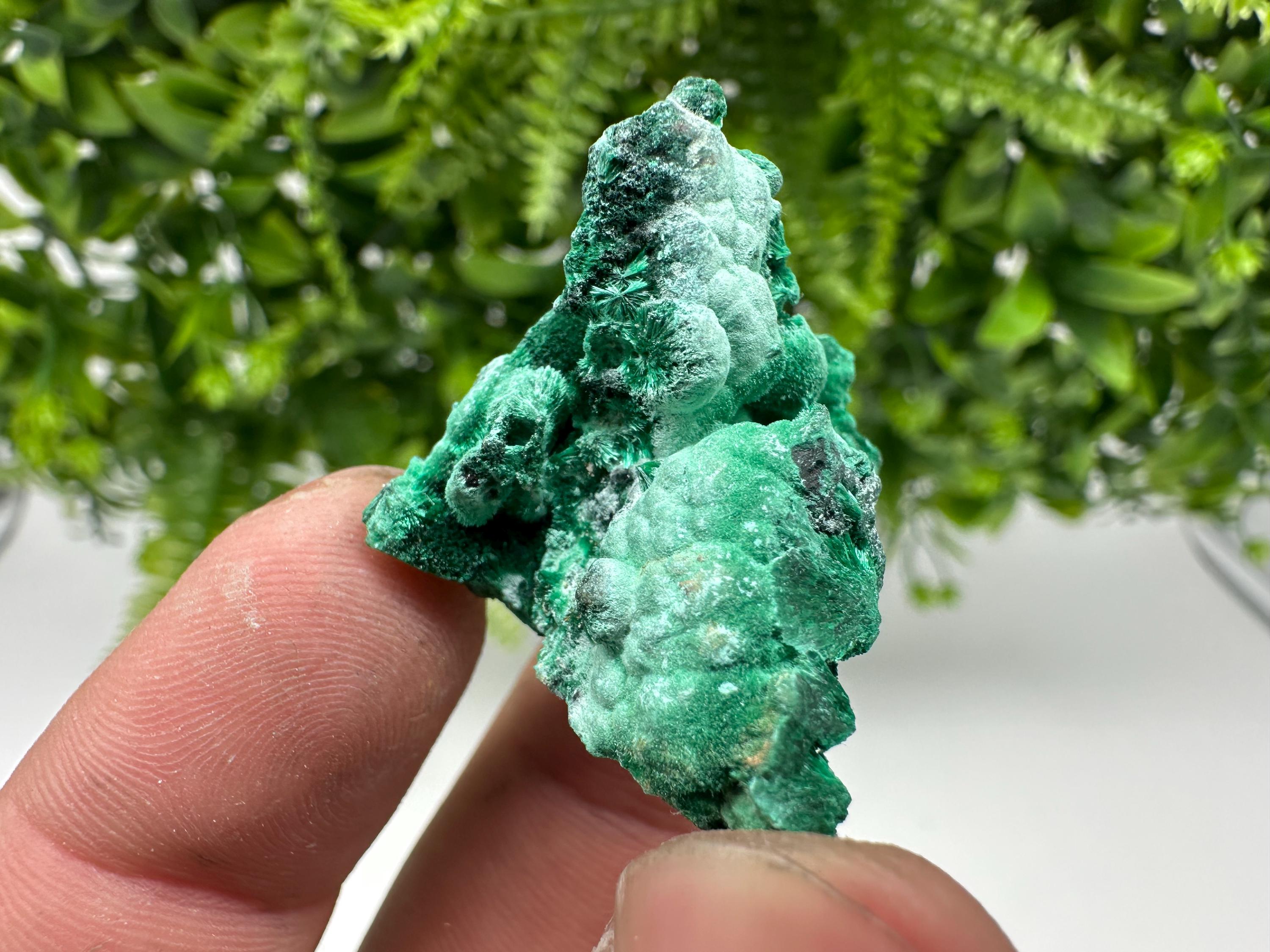 Malachite Crystal from Congo,Minerals,Crystals from Congo,Green Malachite, Malachite,Natural Malachite,Malachite Stone,Chakra, Specimens