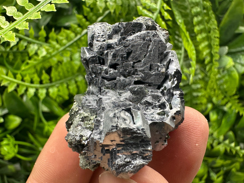 Shiny Galena Cluster: Borieva Mine, Madan, Bulgaria