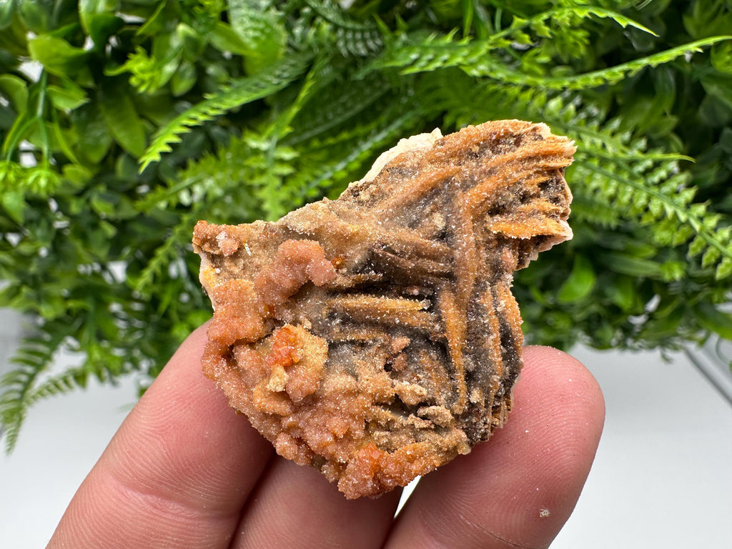 Red Vanadinite on Barite, Morocco Crystal Specimen