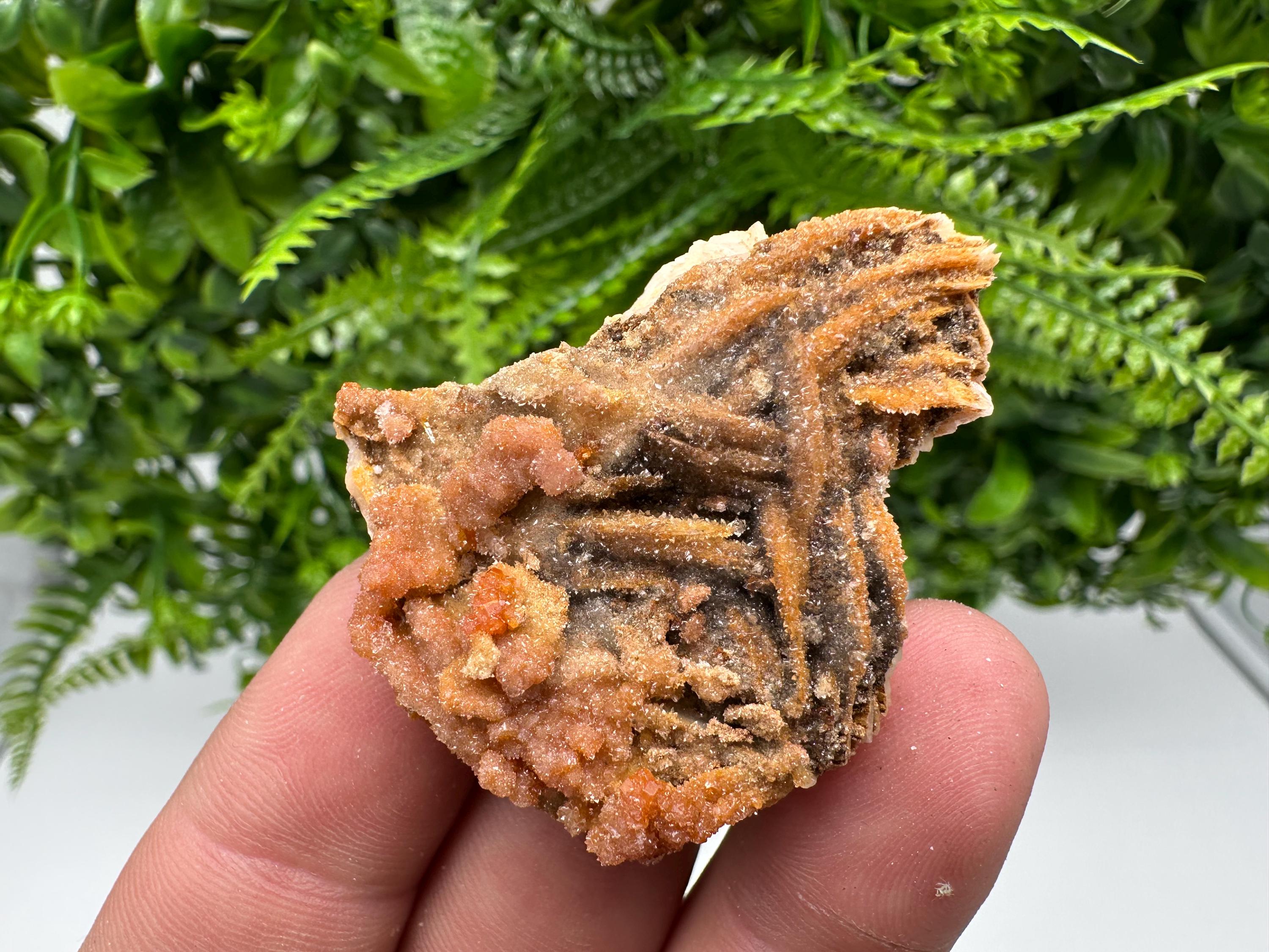 Red Vanadinite on Barite, Morocco Crystal Specimen