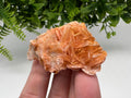 Wonderful Baryte with Cerussite on Galena from Morocco,Crystal, Mineral,Specimen,Cluster,Crystals,Barite Crystal,Cerussite Crystal,Specimen