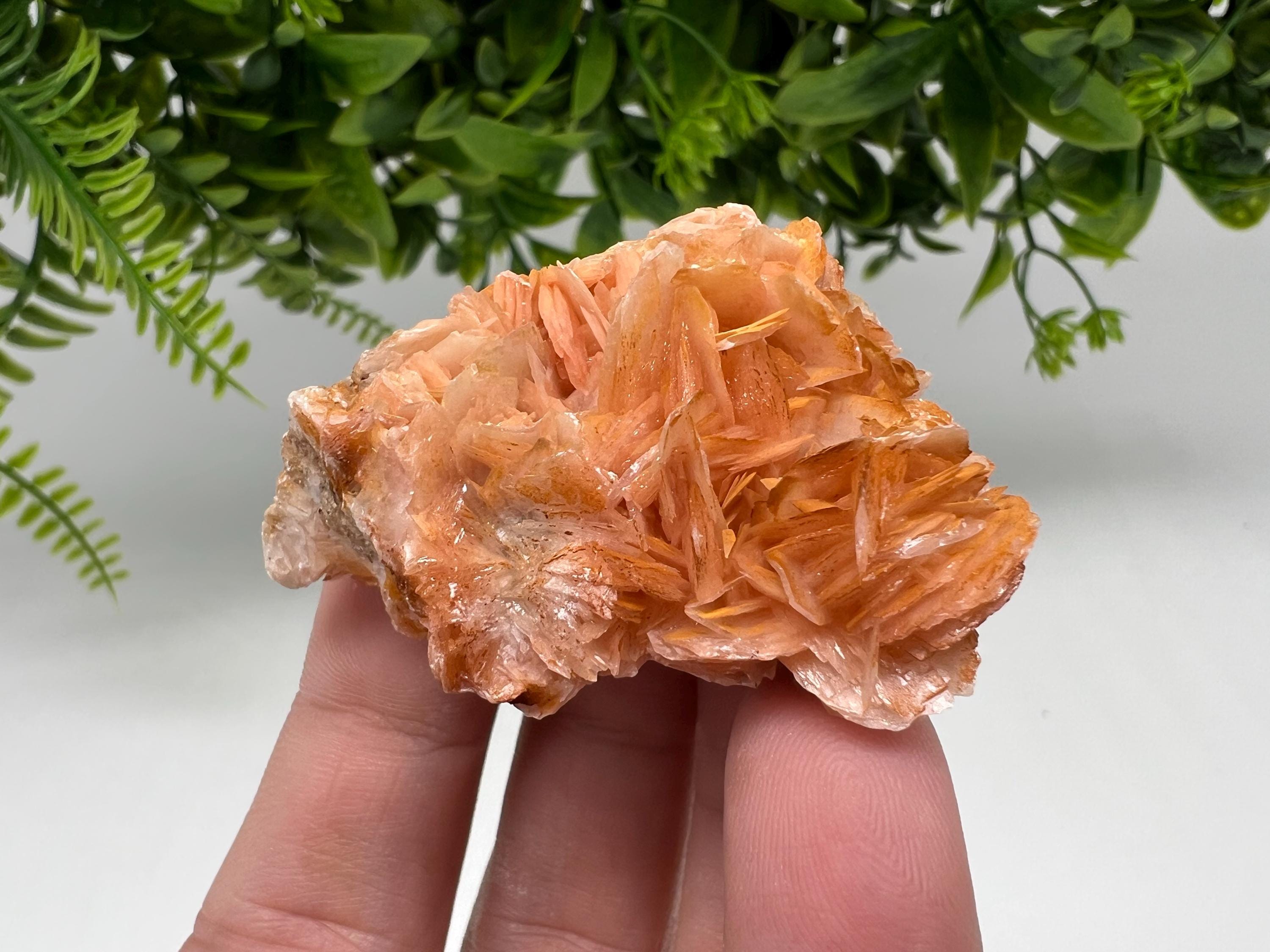 Wonderful Baryte with Cerussite on Galena from Morocco,Crystal, Mineral,Specimen,Cluster,Crystals,Barite Crystal,Cerussite Crystal,Specimen