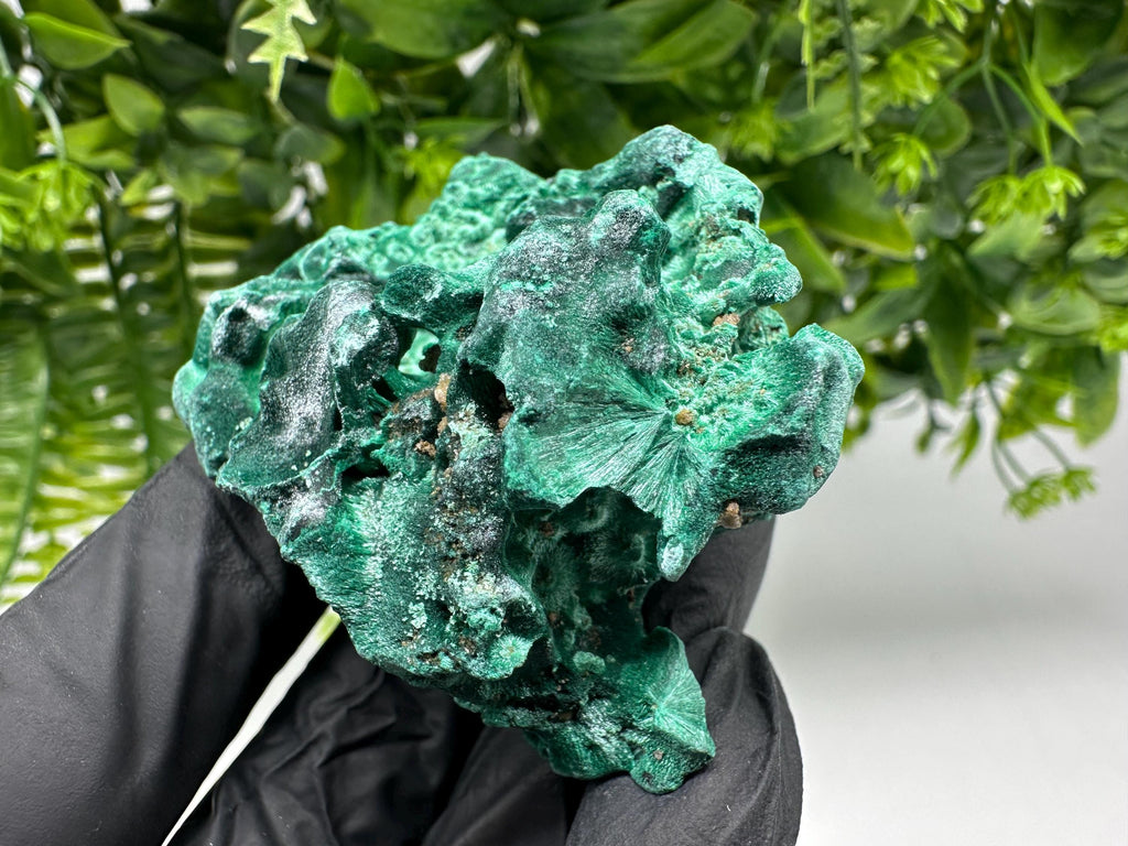 Malachite Crystal from Congo,Minerals,Crystals from Congo,Green Malachite, Malachite,Natural Malachite,Malachite Stone,Chakra, Specimens