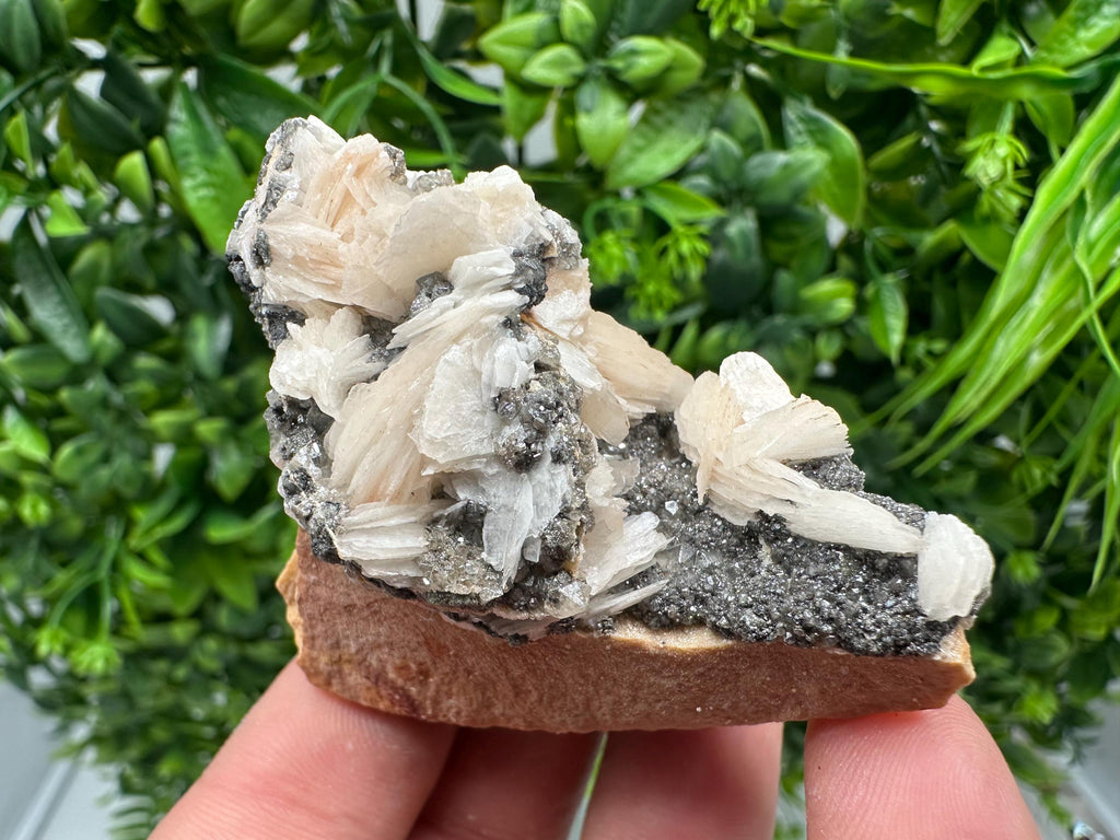 Wonderful Baryte with Cerussite on Galena from Morocco,Crystal, Mineral,Specimen,Cluster,Crystals,Barite Crystal,Cerussite Crystal,Specimen