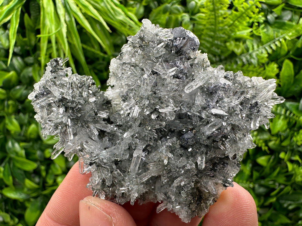 Galena Pyrite on Quartz, Borieva Mine, Bulgaria