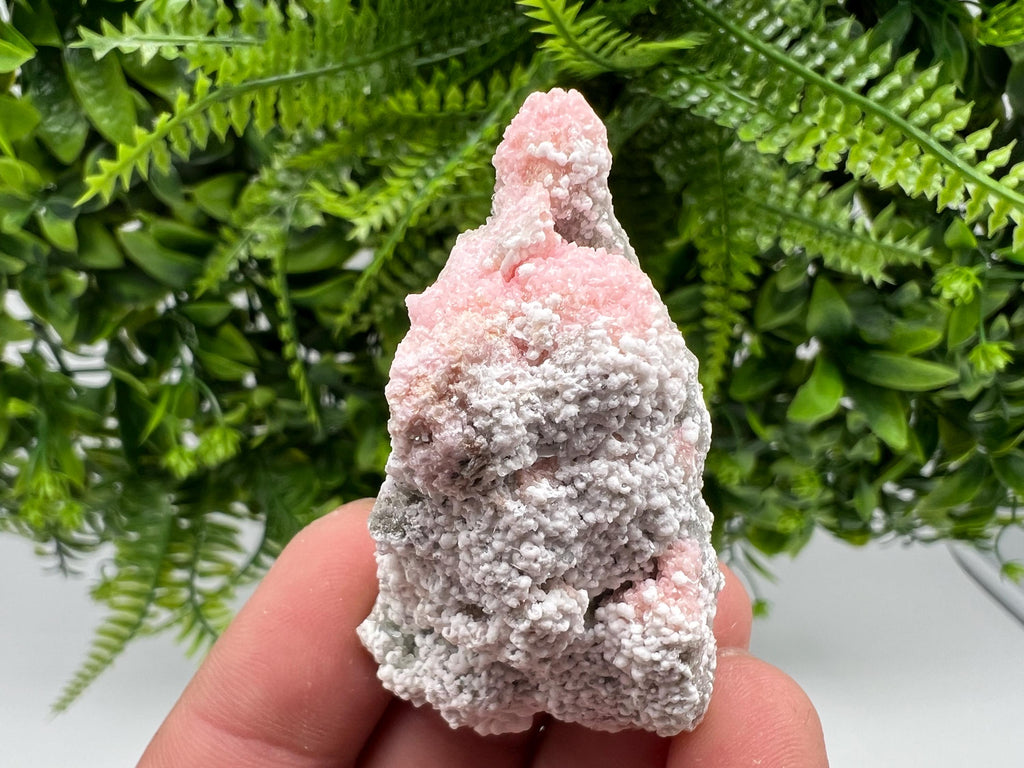 RARE Rhodochrosite with White Calcite, Starnica Mine Bulgaria
