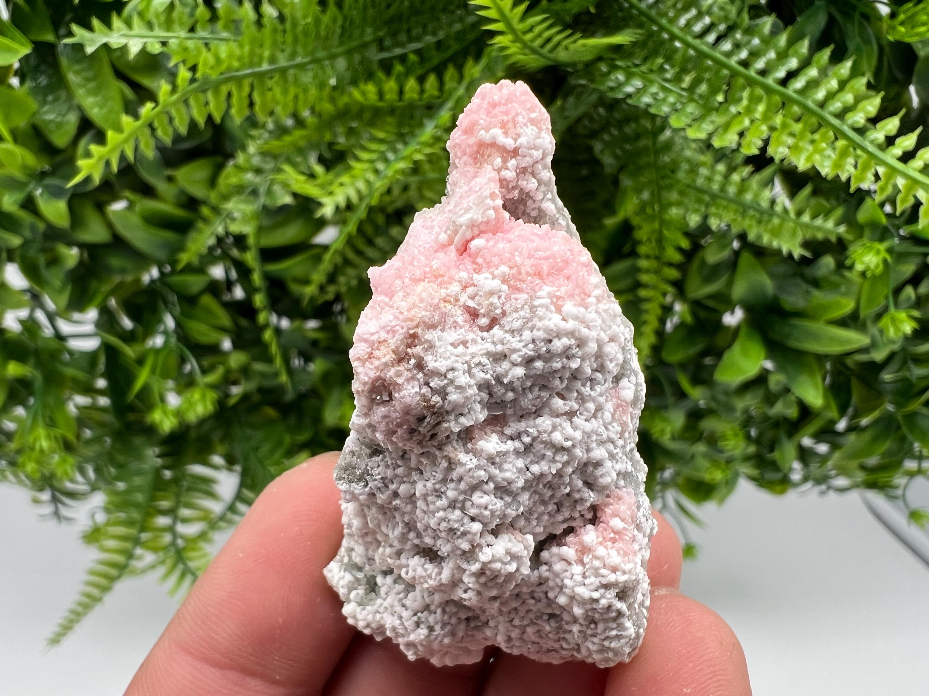 RARE Rhodochrosite with White Calcite, Starnica Mine Bulgaria