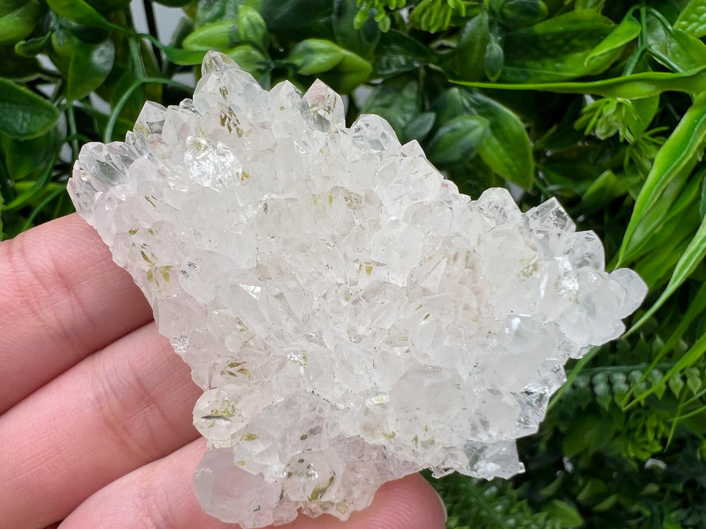Transparent Quartz on Chlorite Matrix, Bulgaria Mineral Specimen