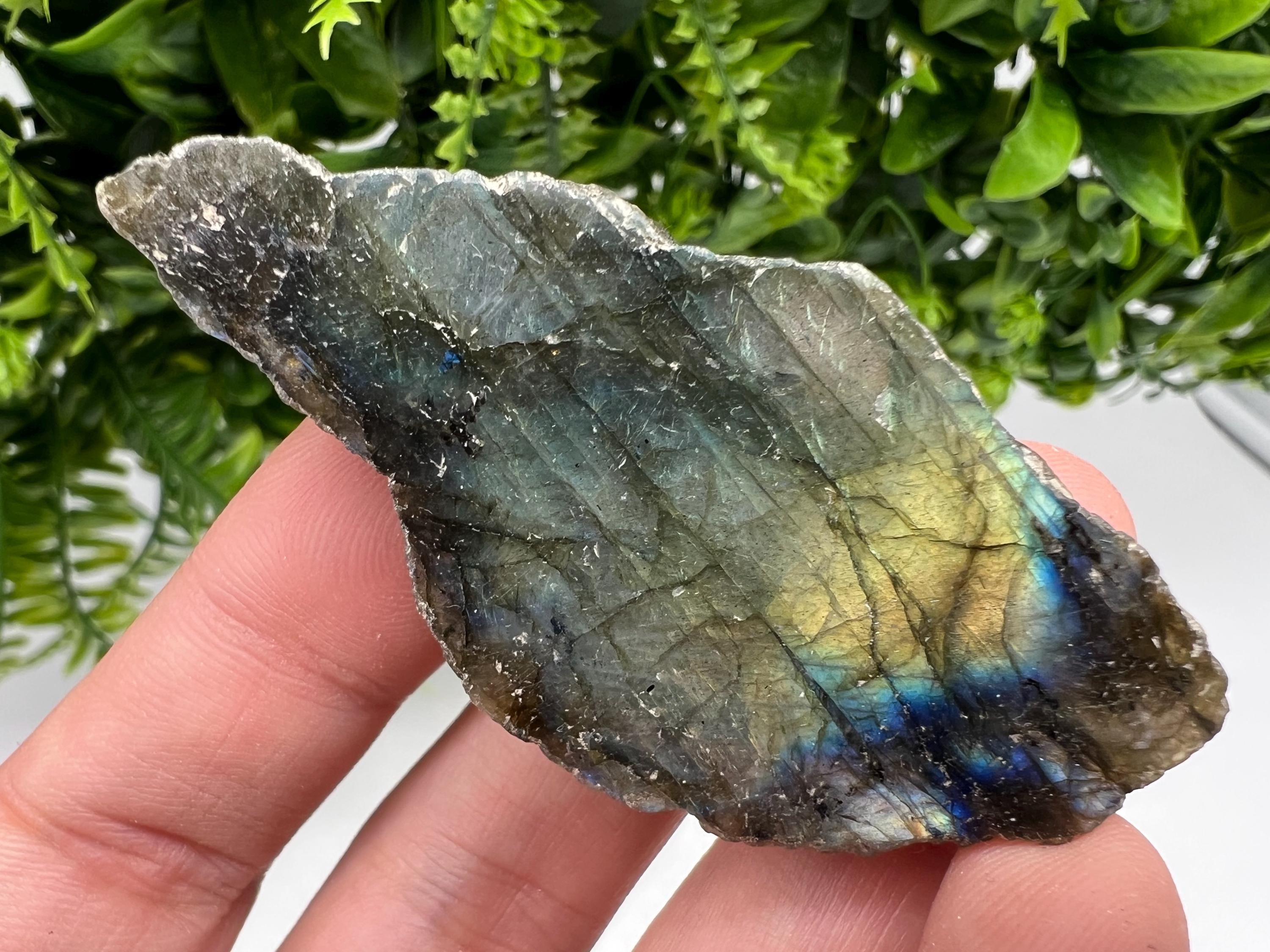 Polished Labradorite Slab: Multifire Crystal Decor - 7x3.5x1.5cm