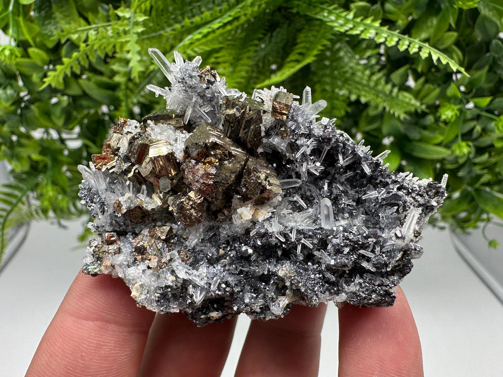 Rainbow Pyrite Sphalerite on Quartz: Natural Crystal Home Decor