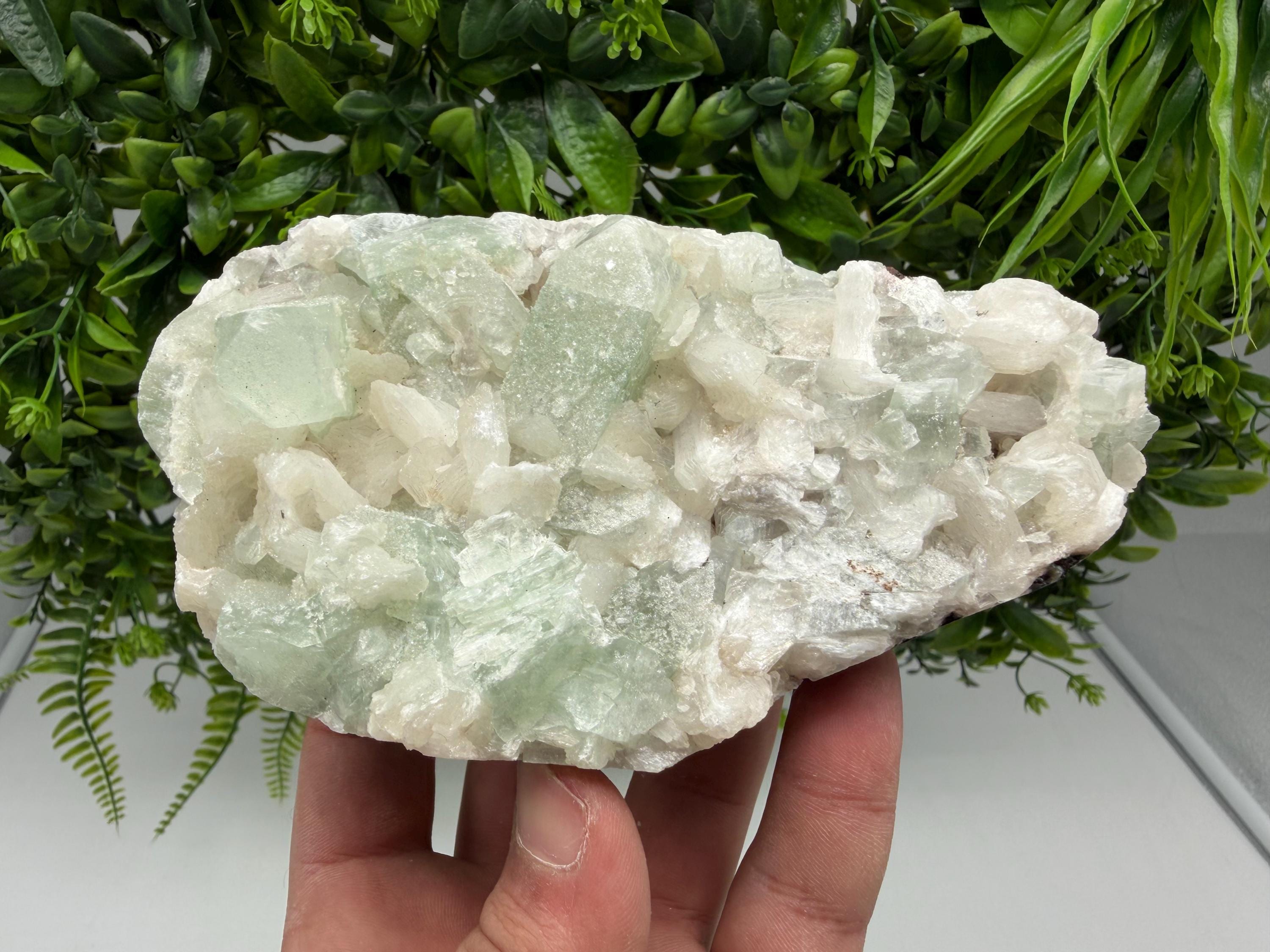Green Apophyllite with Stilbite, India Crystal Specimen