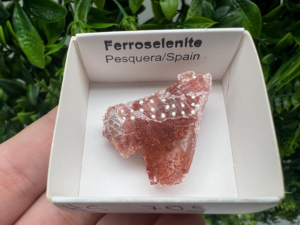 Rare Ferroselenite Crystal Specimen: La Pesquera, Spain (3/3 cm