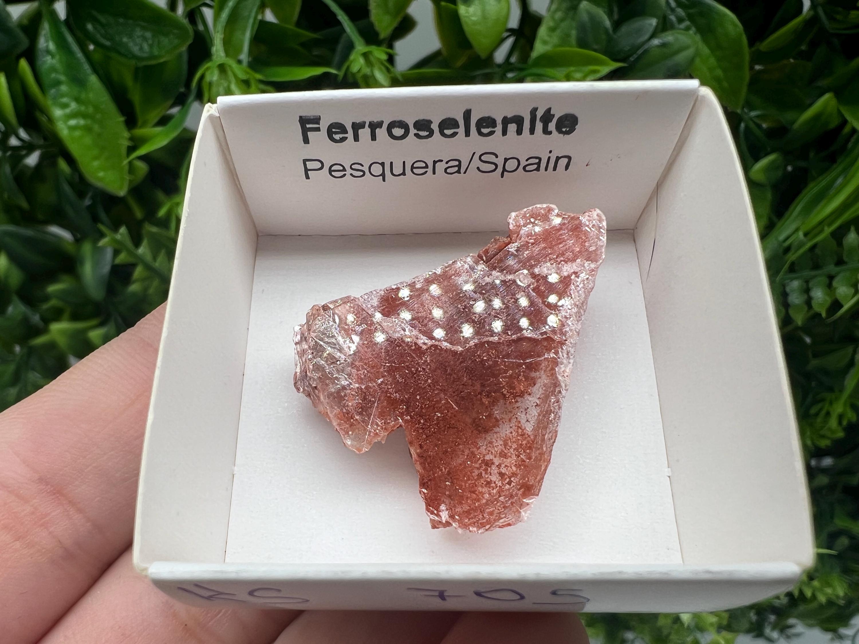 Rare Ferroselenite Crystal Specimen: La Pesquera, Spain (3/3 cm