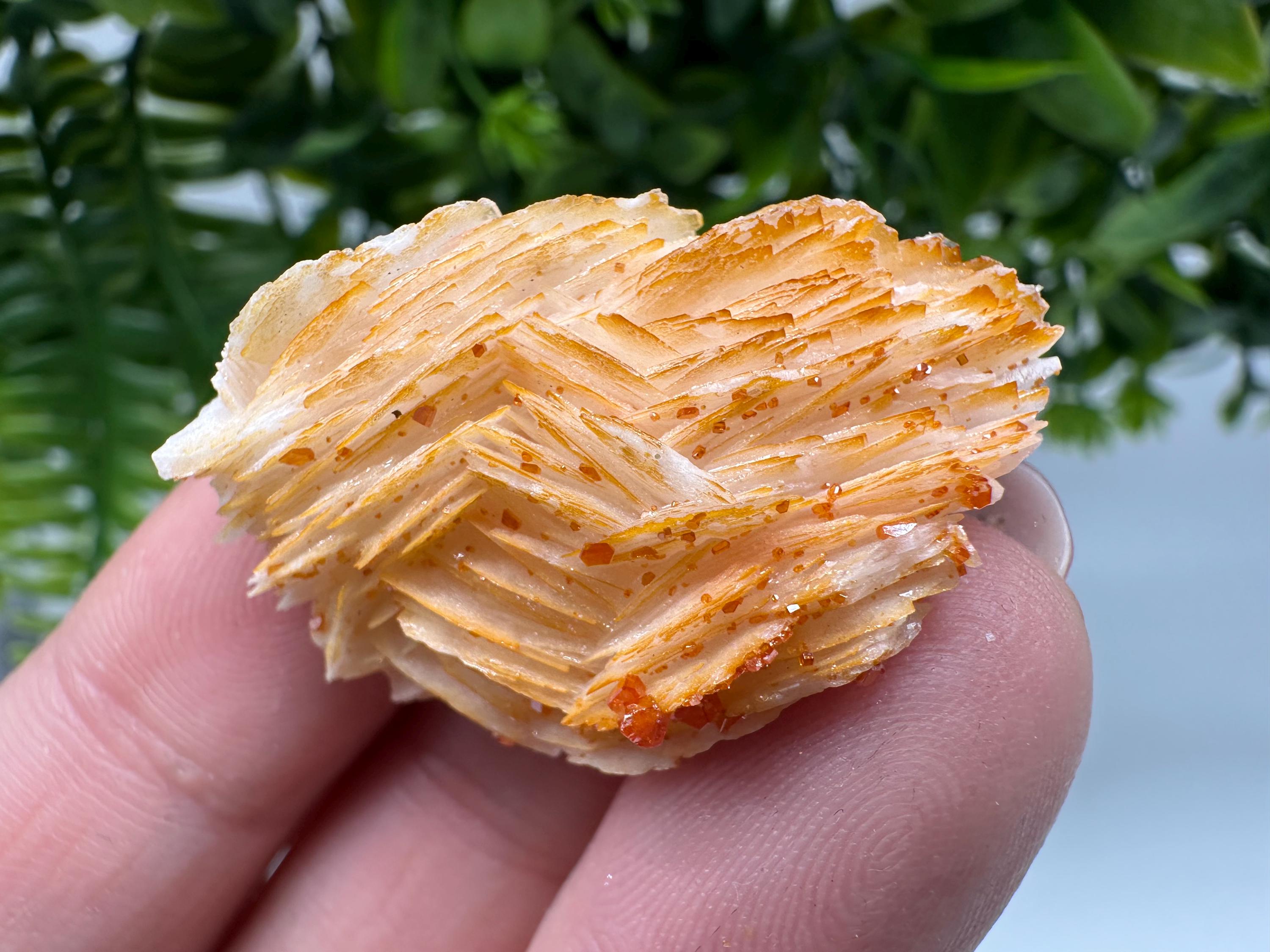 Red Vanadinite on Barite Cluster, Moroccan Crystal Specimen