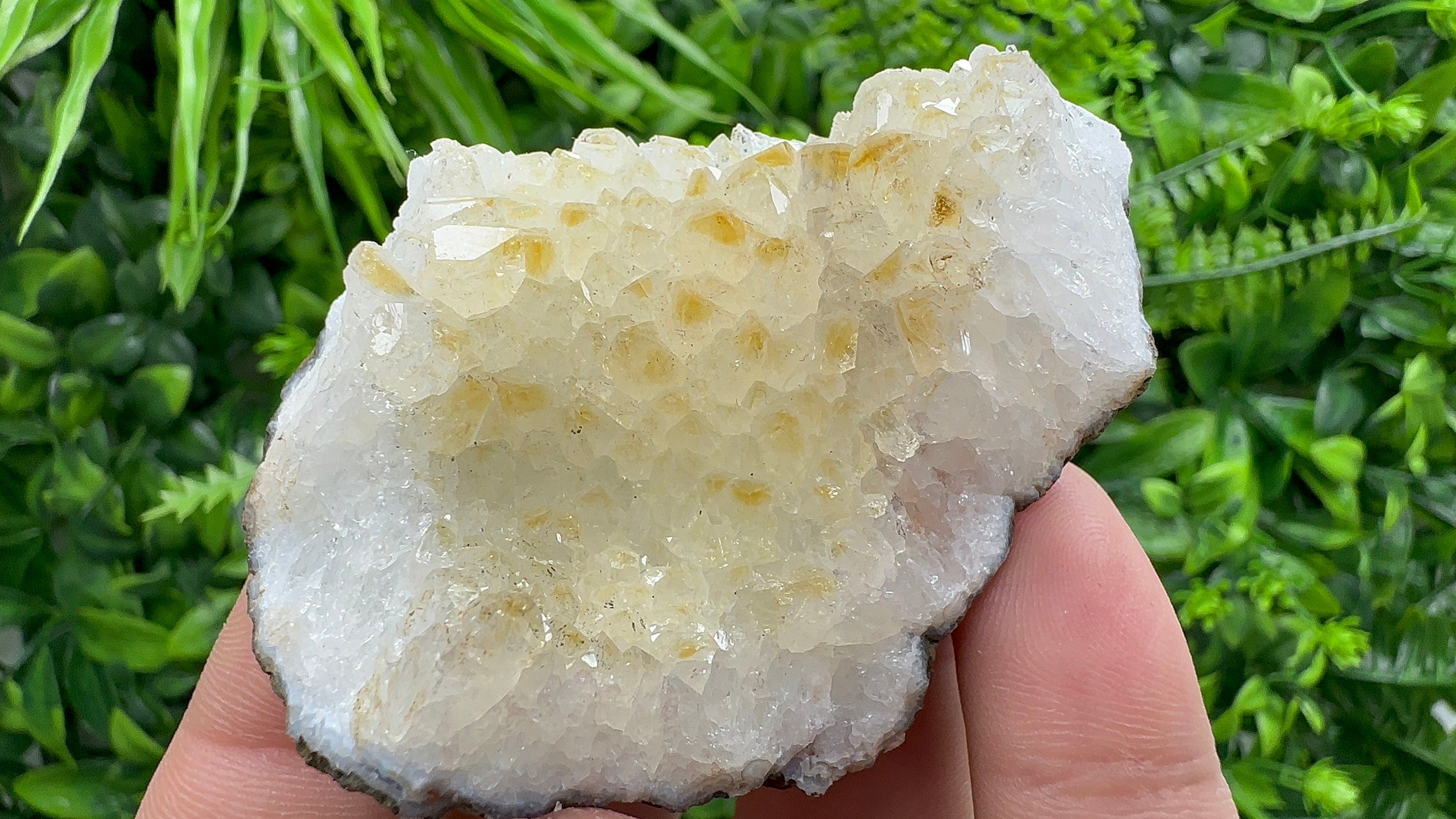 Citrine Crystal Cluster with Hematite Inclusions - Brazil